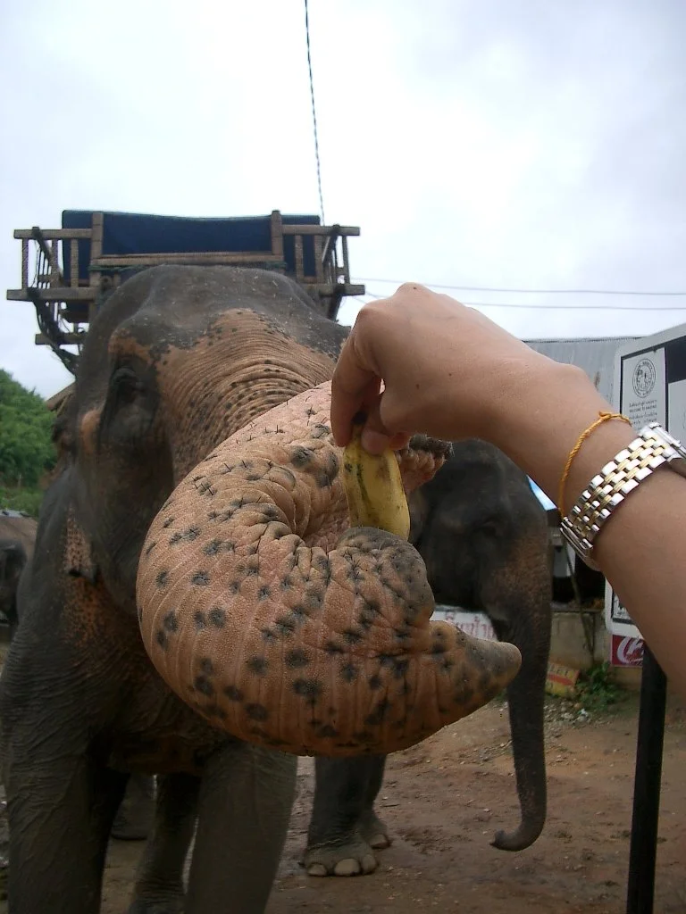 2004 Chiang Rai Hill Tribes and Golden Triangle Road Trip (52).JPG