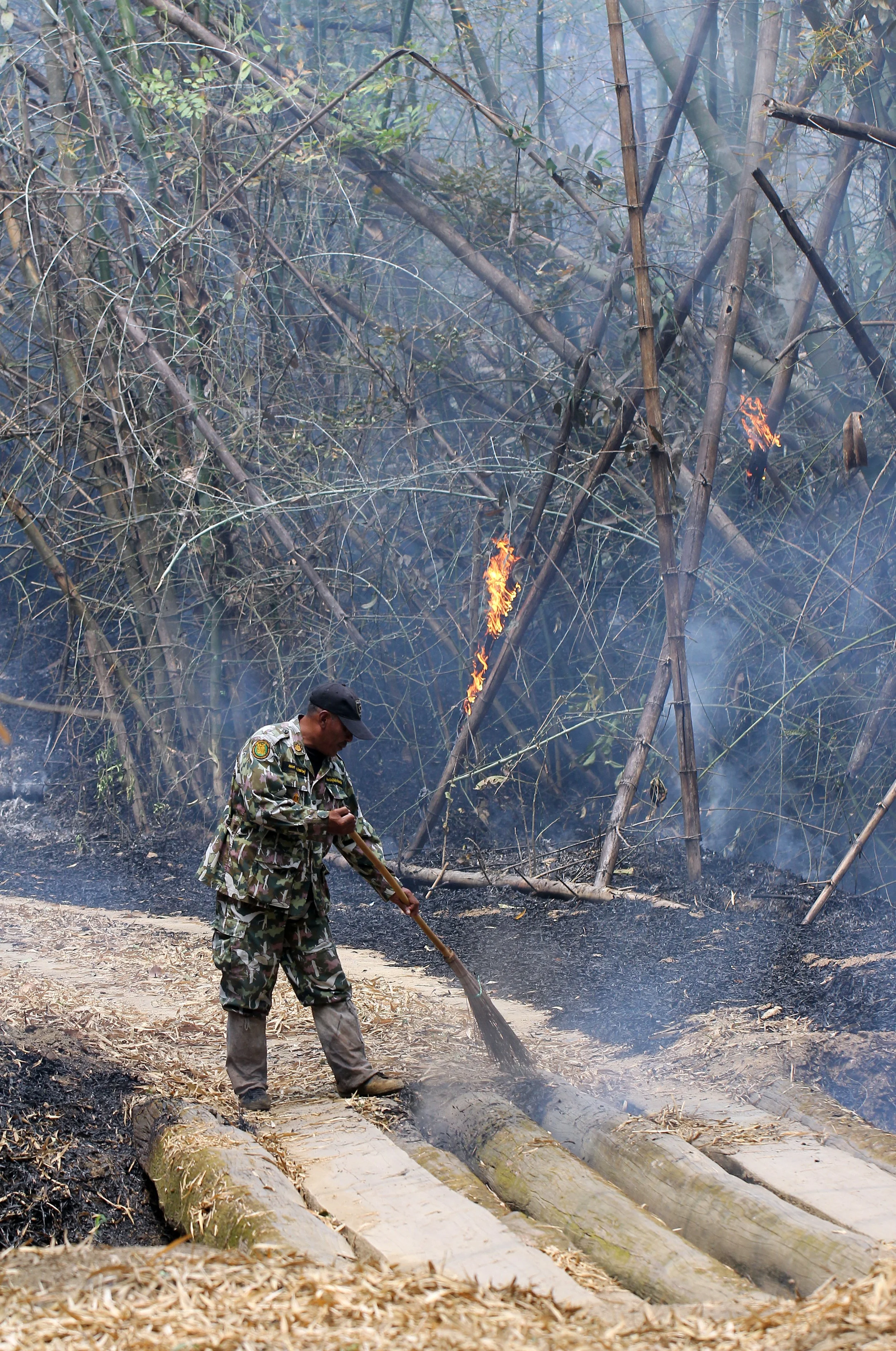 2015 Huai Mai Dee Huai Kha Khaeng Wildlife Refute (31).JPG