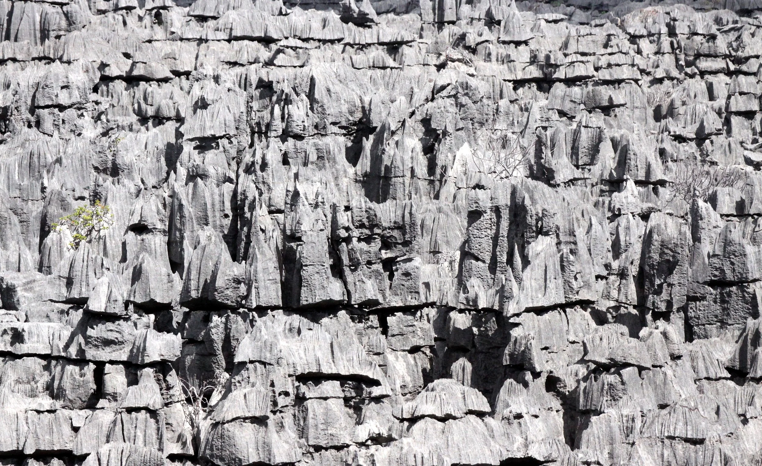 ANKARANA NATIONAL PARK MADAGASCAR - TSINGY FOREST (44).JPG