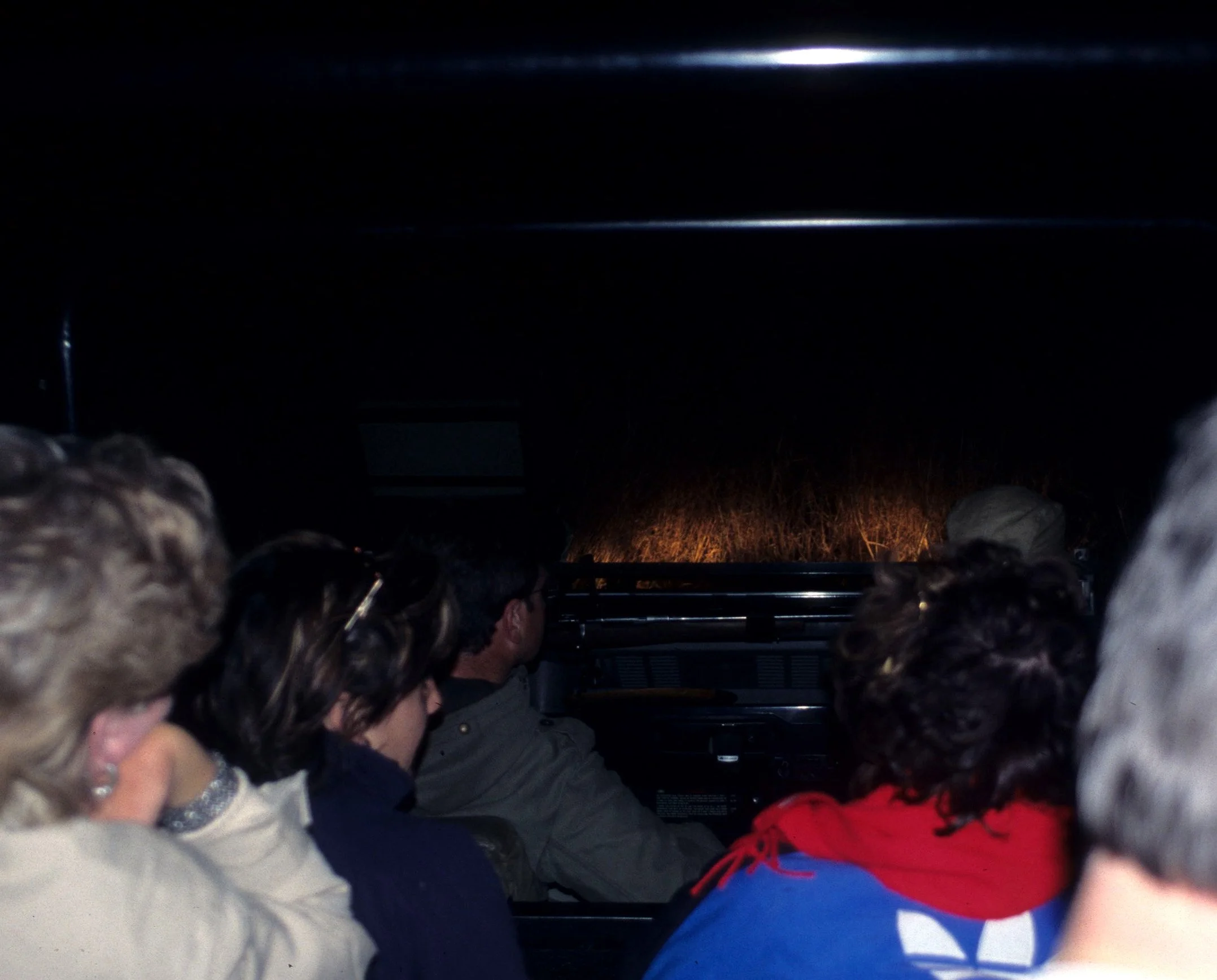 KRUGER - NIGHT SAFARI A.jpg