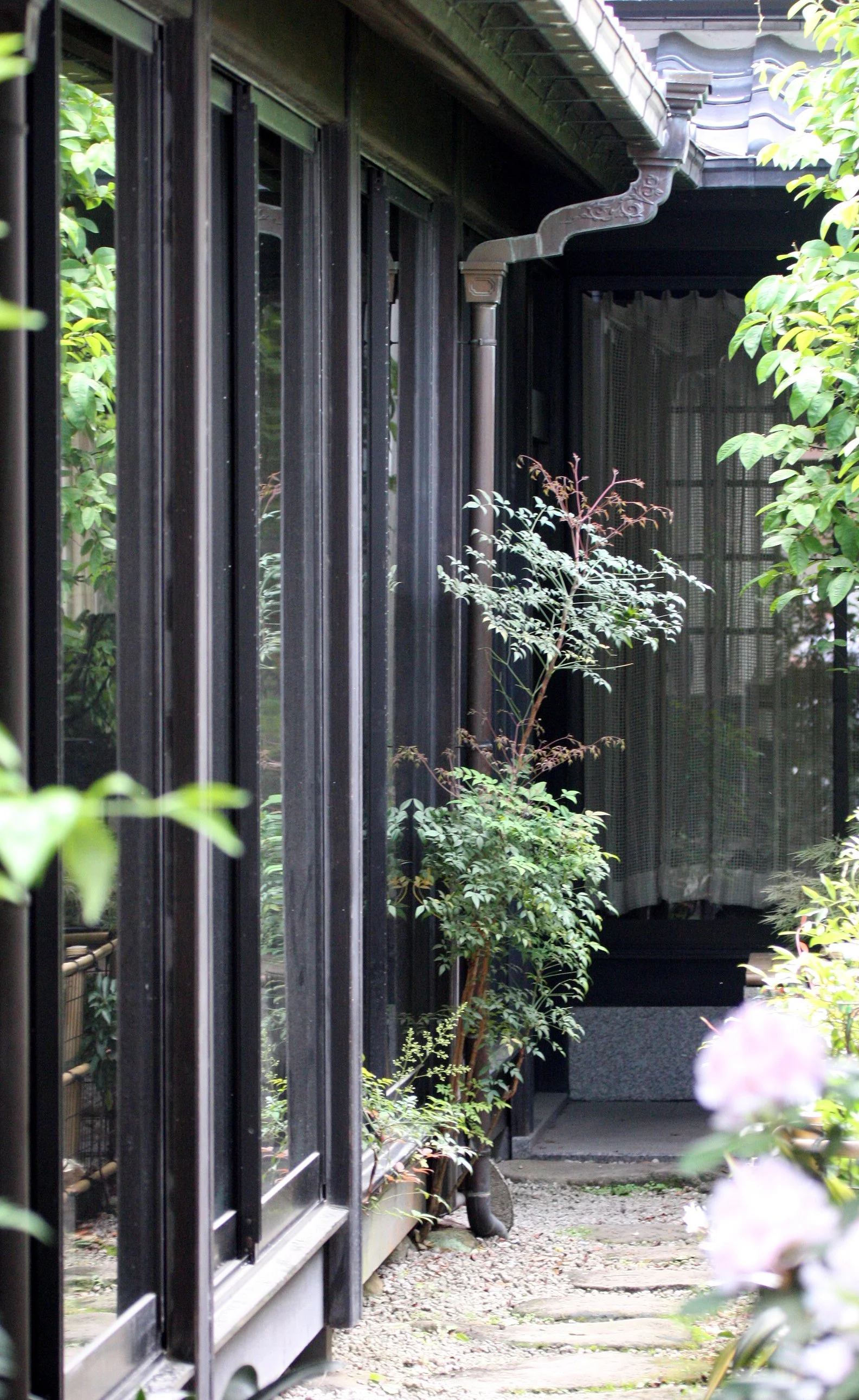 MIYAJIMA - MAY 2009 - SCENES AND LANDSCAPES (5).JPG