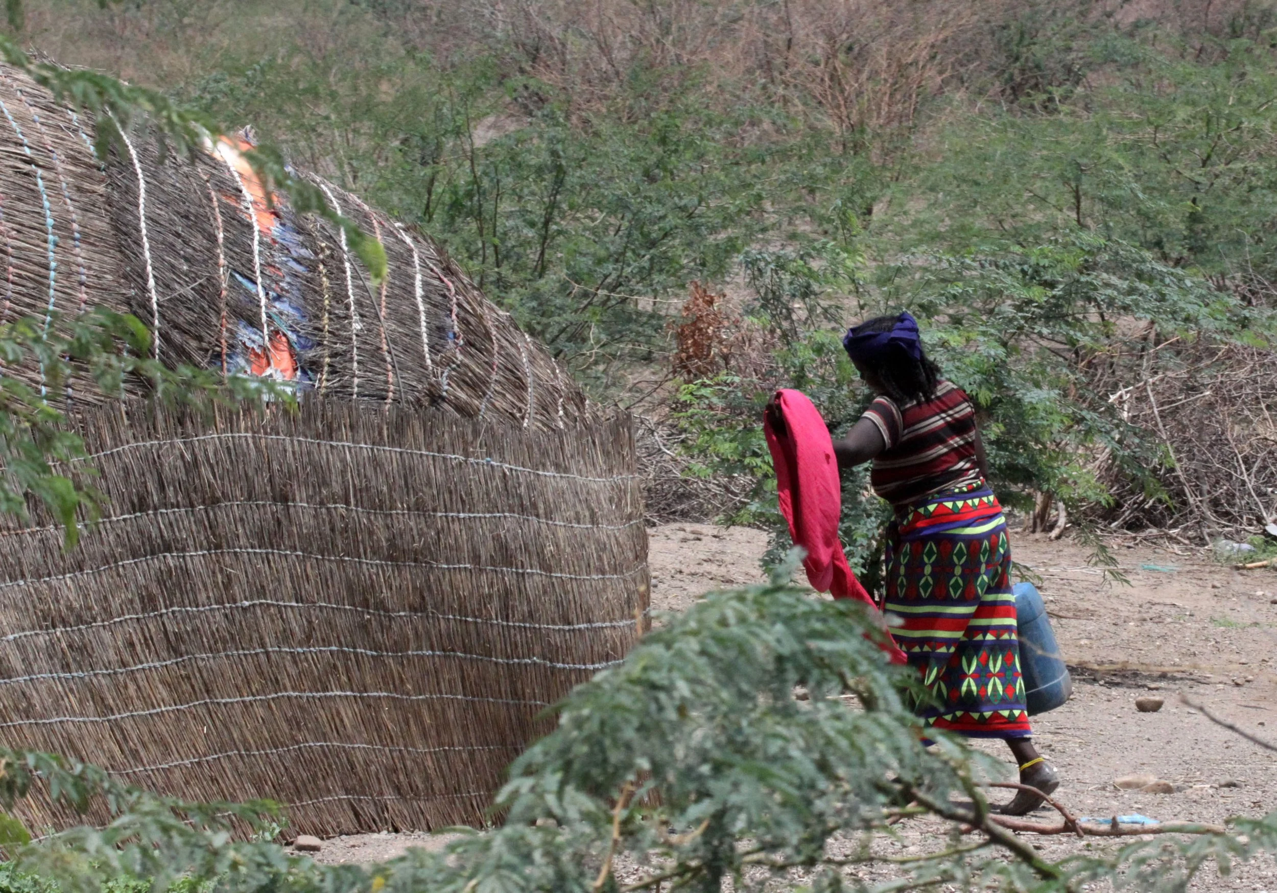 ALI DEGE PLAINS ETHIOPIA (26).JPG