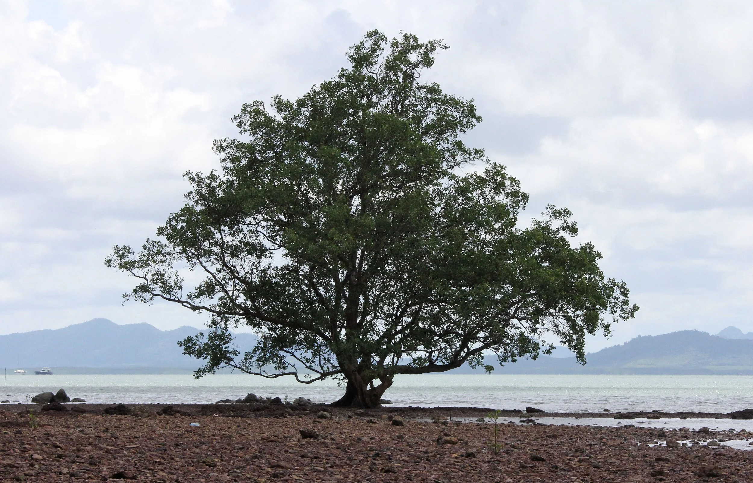 2016 Koh Lanta Landscapes, House Pictures and Family Fun (207).JPG