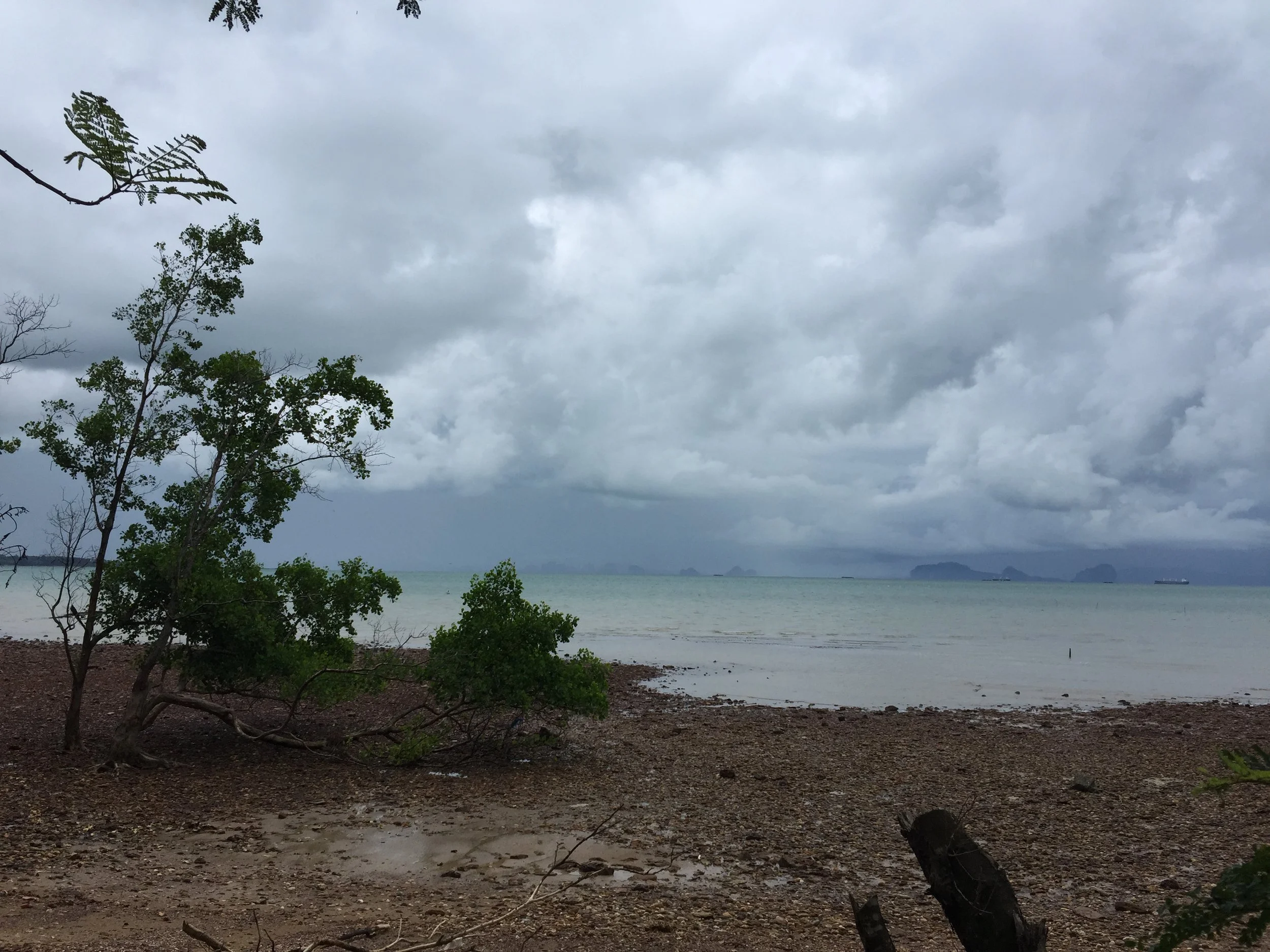 2015 Koh Lanta Garden & Nature (187).JPG