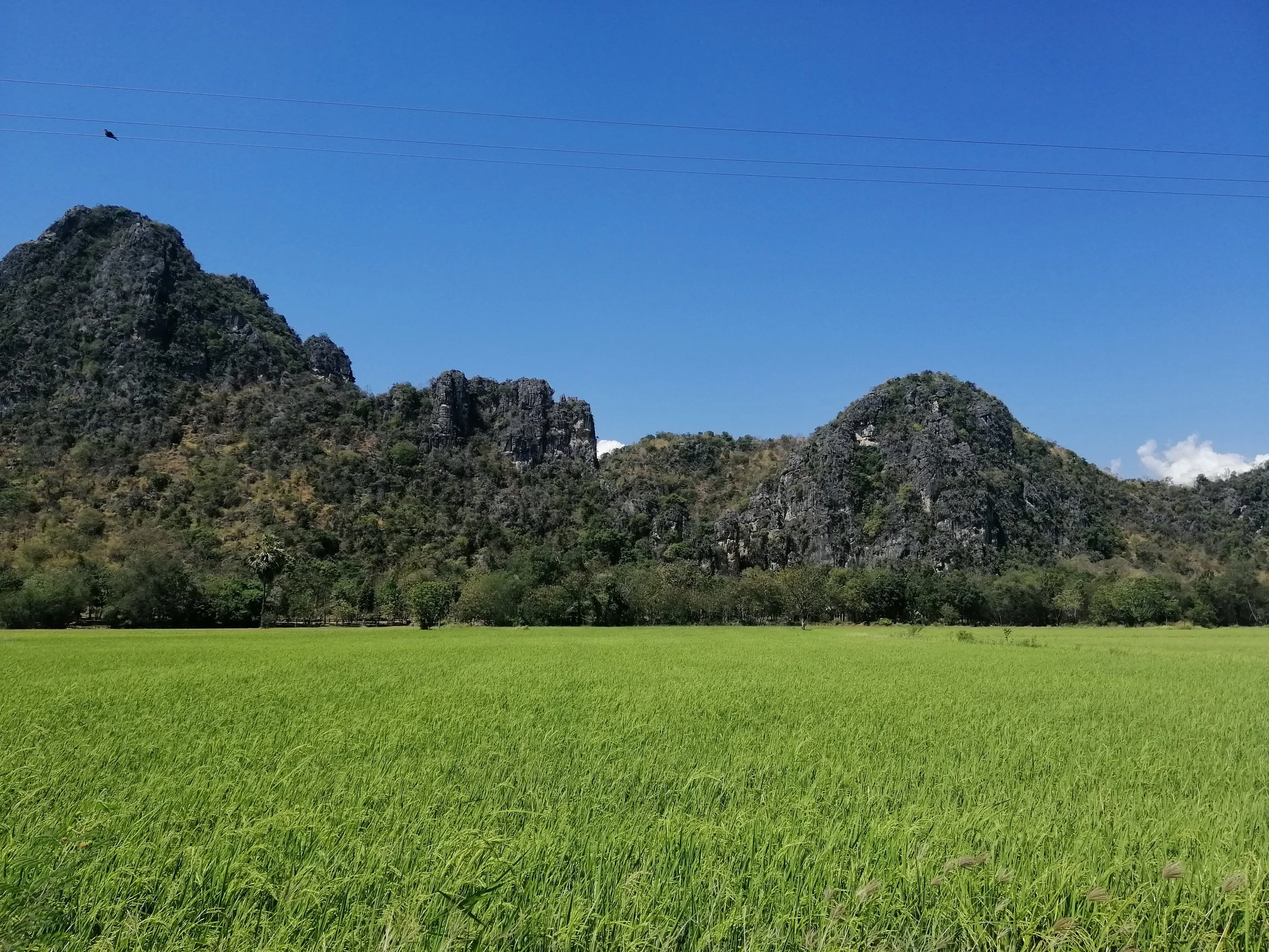 2019 Petchaburi & Cha'am Trip with Cokie & Gift (18).jpg