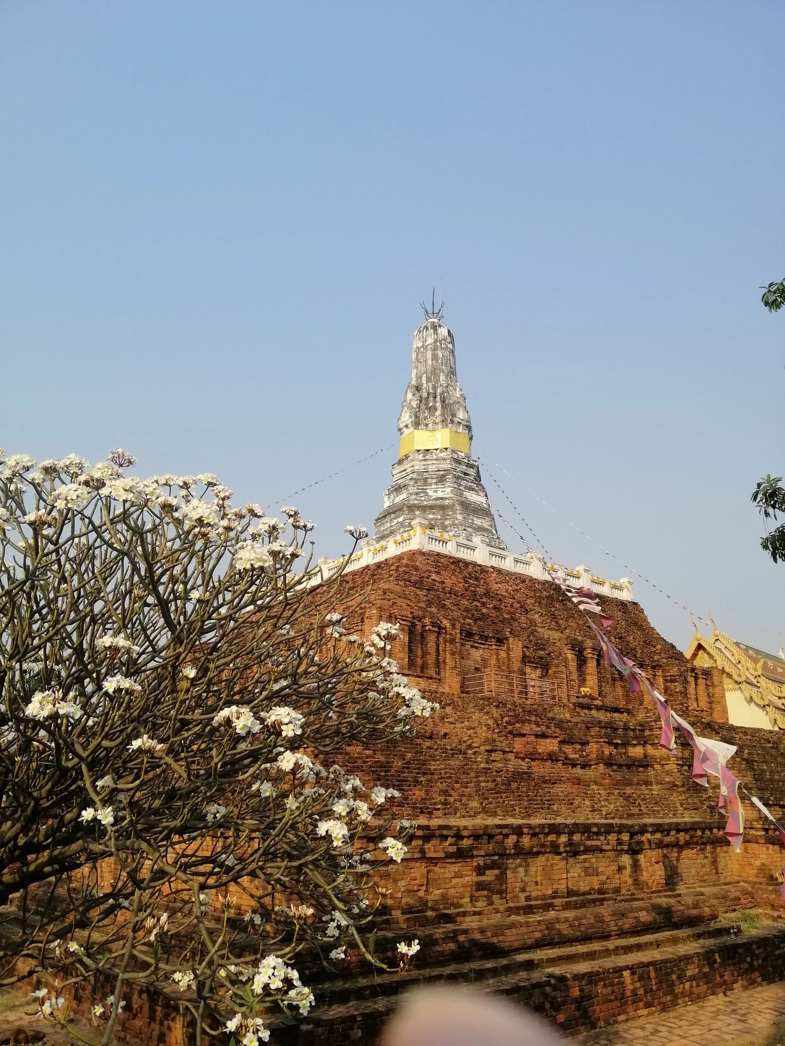 2020 Nakhon Pathom Temples & Chedis with Cokie (53).jpg