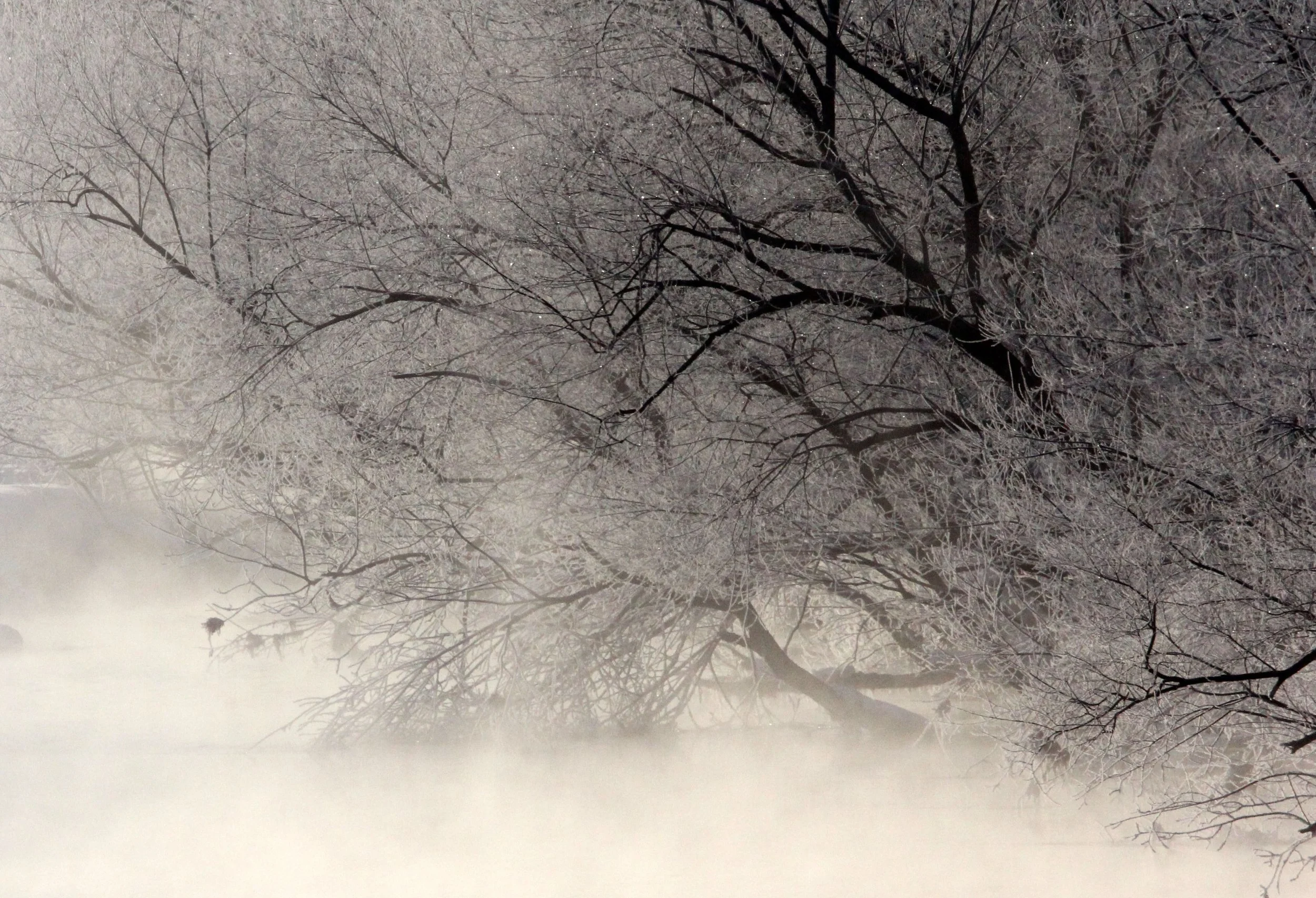 OTOWABASHI SETSUGAWA - TSURUI TOWN - HOKKAIDO JAPAN (41).JPG