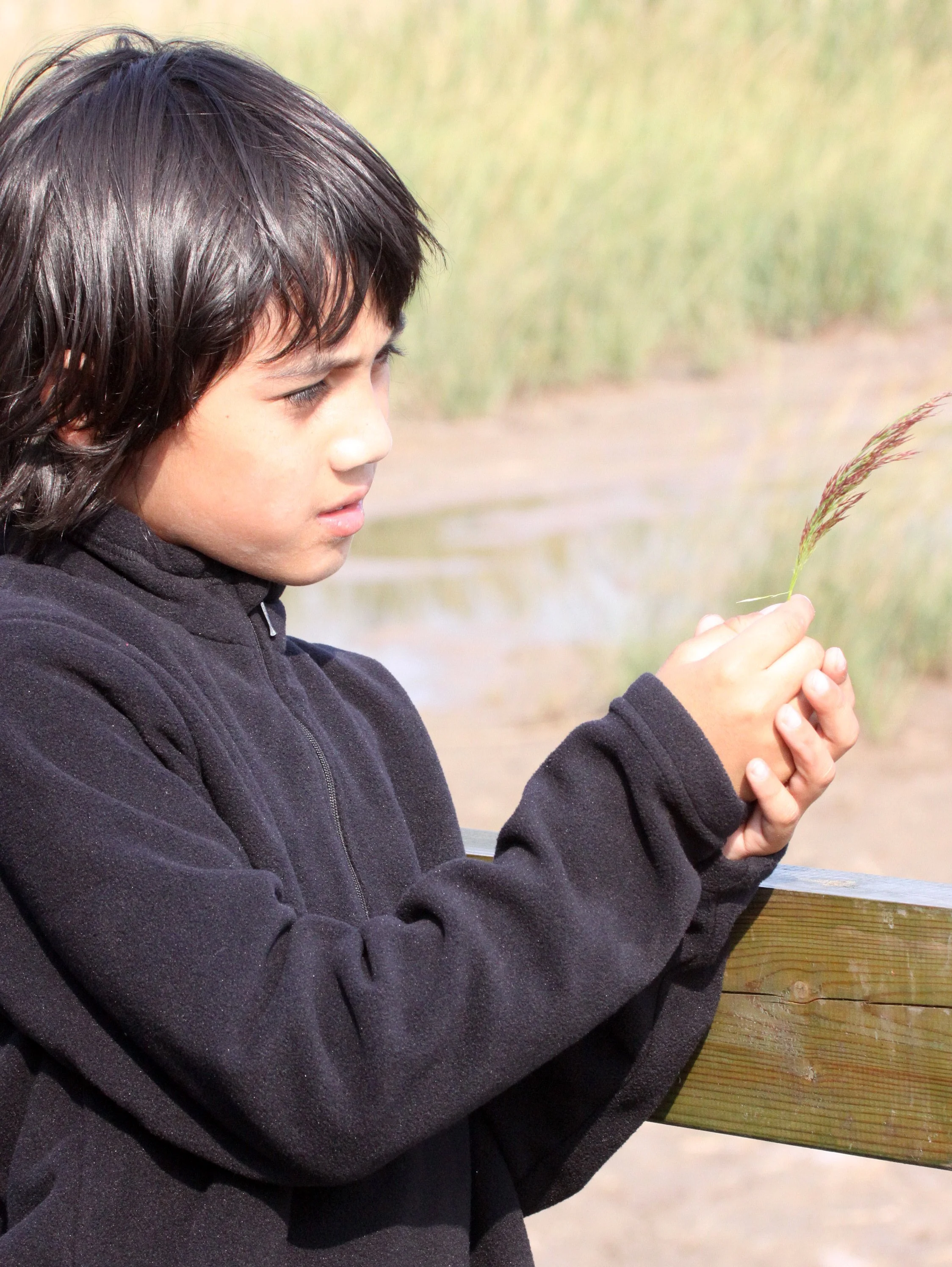 CHONGMING ISLAND - DONGTAN WETLANDS RESERVE - CHINA (15).JPG