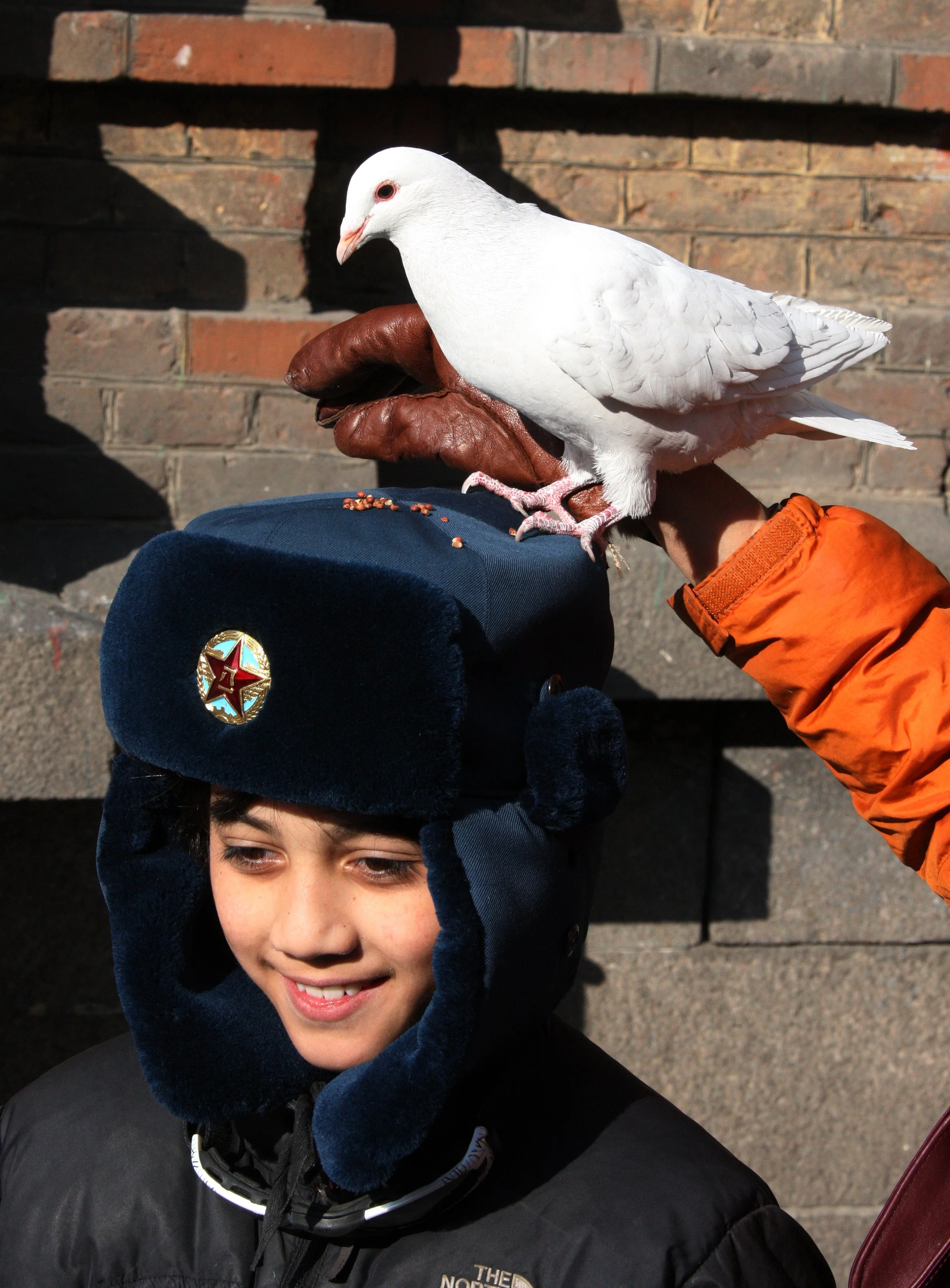 BIRD - PIGEON - HARBIN SAINT SOPHIA'S CATHEDRAL CHINA (68).JPG