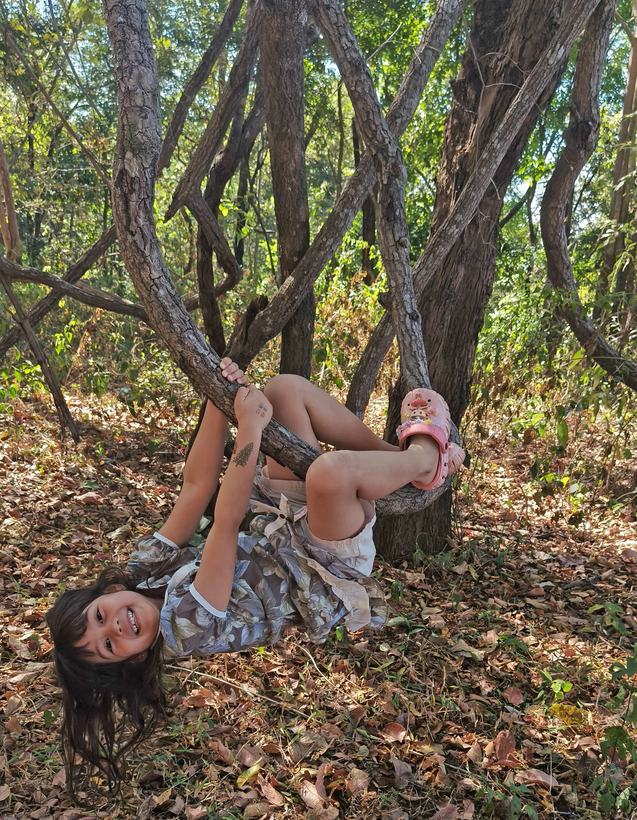 Phu Phan National Park - Kalasin Province (22).jpg