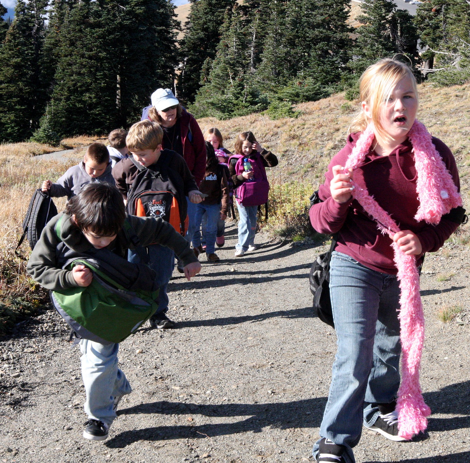 2009-10-19 COKIE'S FIELD TRIP TO HURRICANE RIDGE WA (18).JPG
