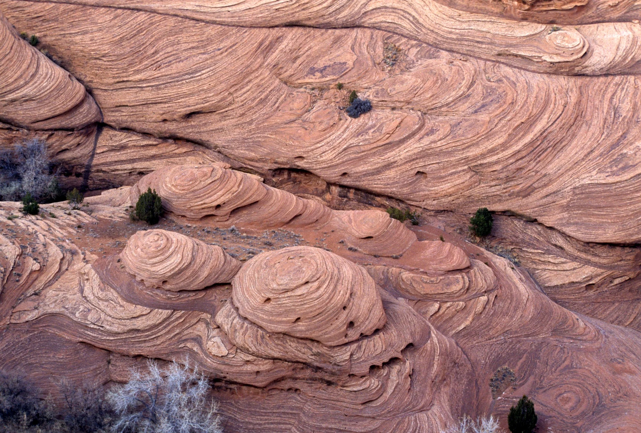 ANASAZILAND - CANYON DE CHELLY NP - ARIZONA. B.jpg