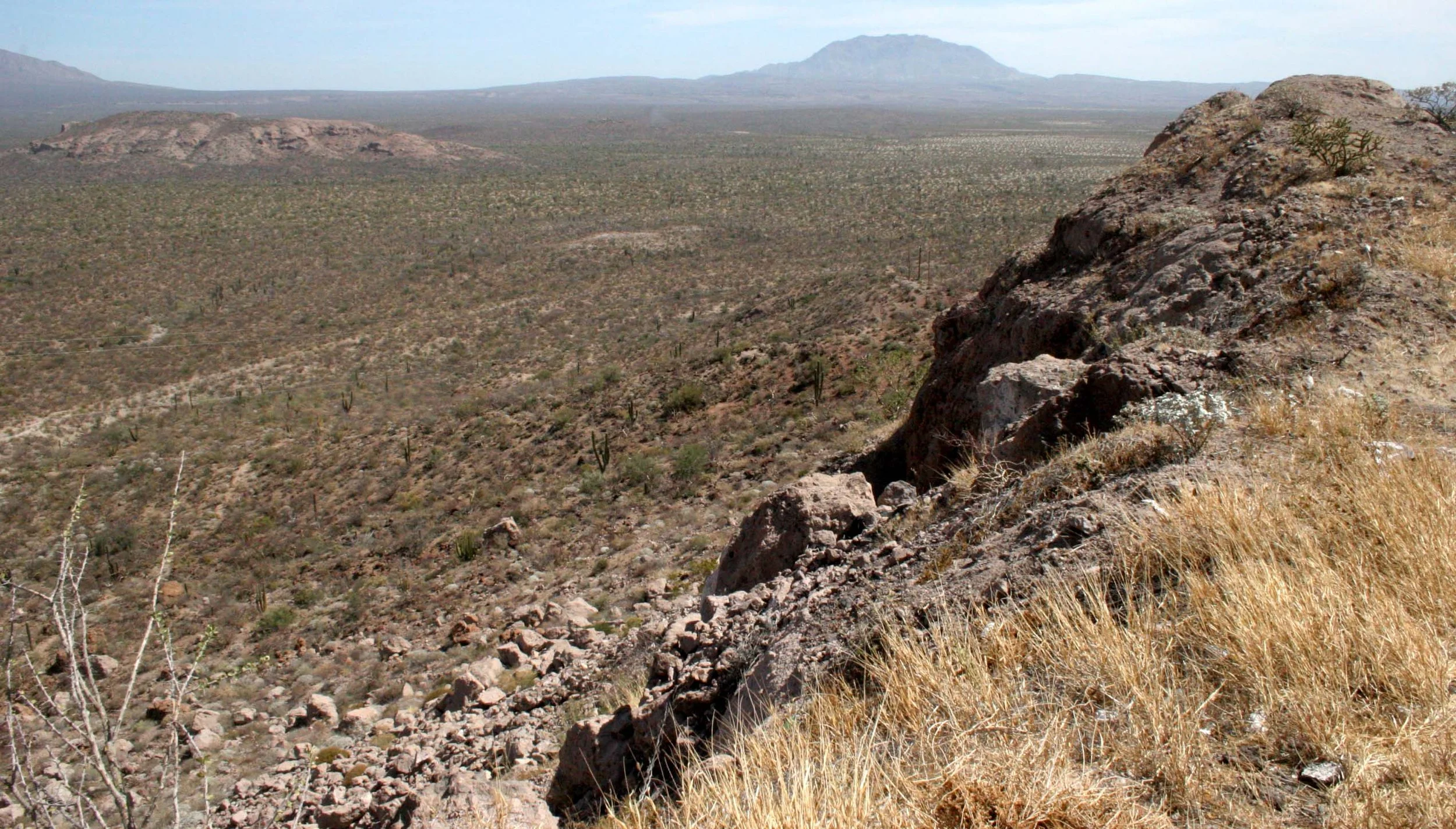 BAJA DESERT COMMUNITY.JPG