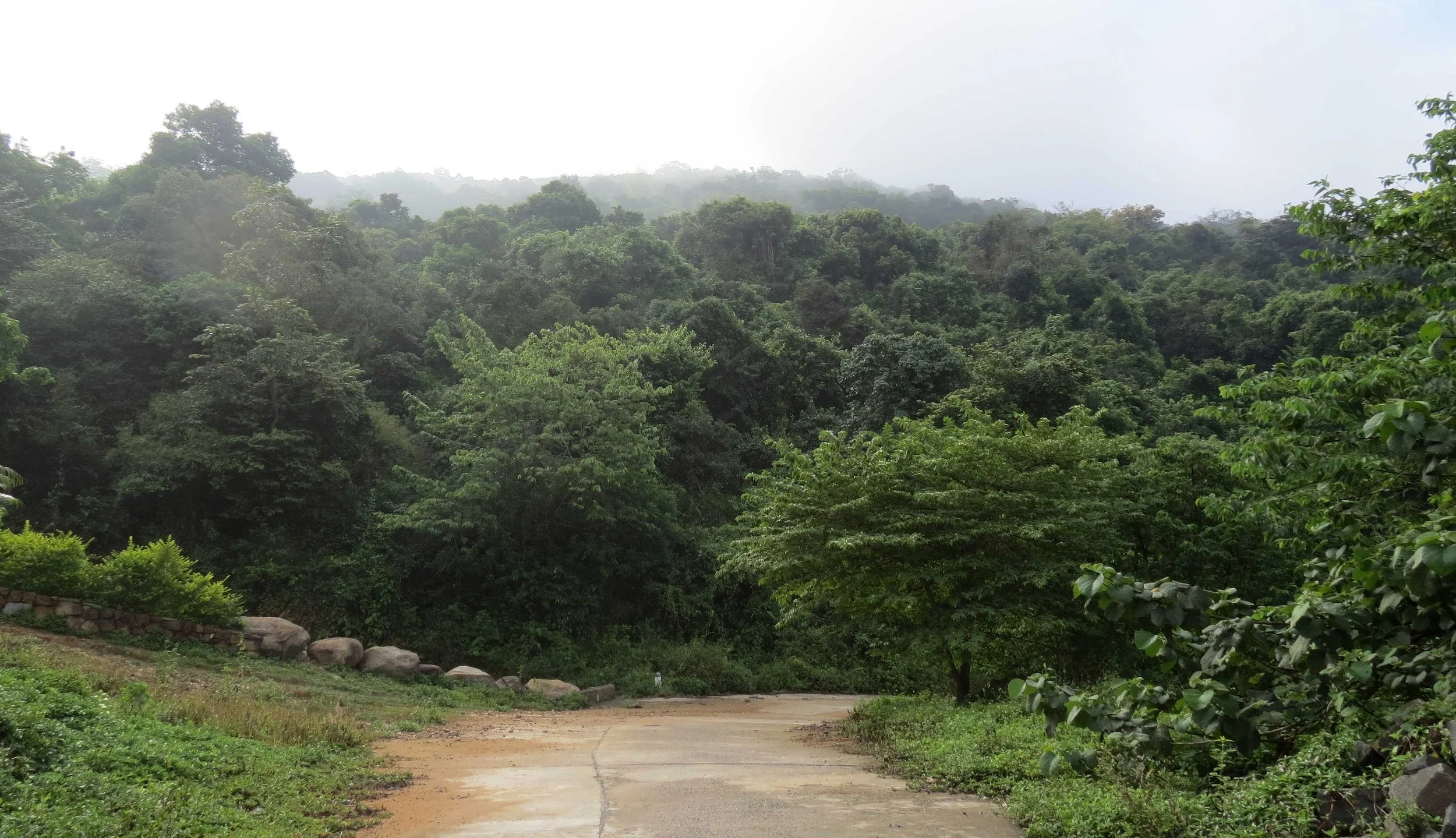 SON TRA PENINSULA - COKIE'S IMAGES (18).JPG