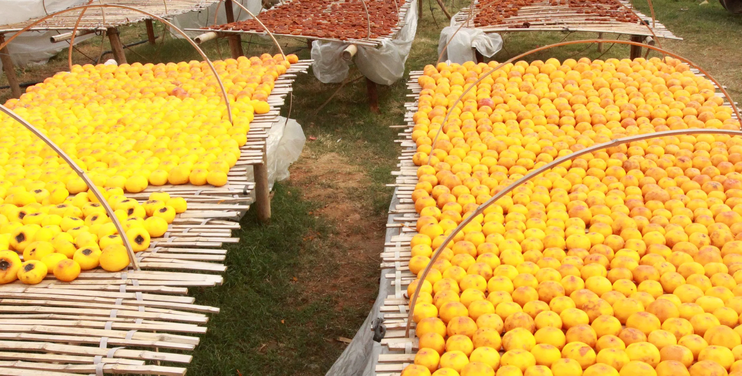 CHENGQILOU HAKKA VILLAGE - FUJIAN CHINA (107).JPG