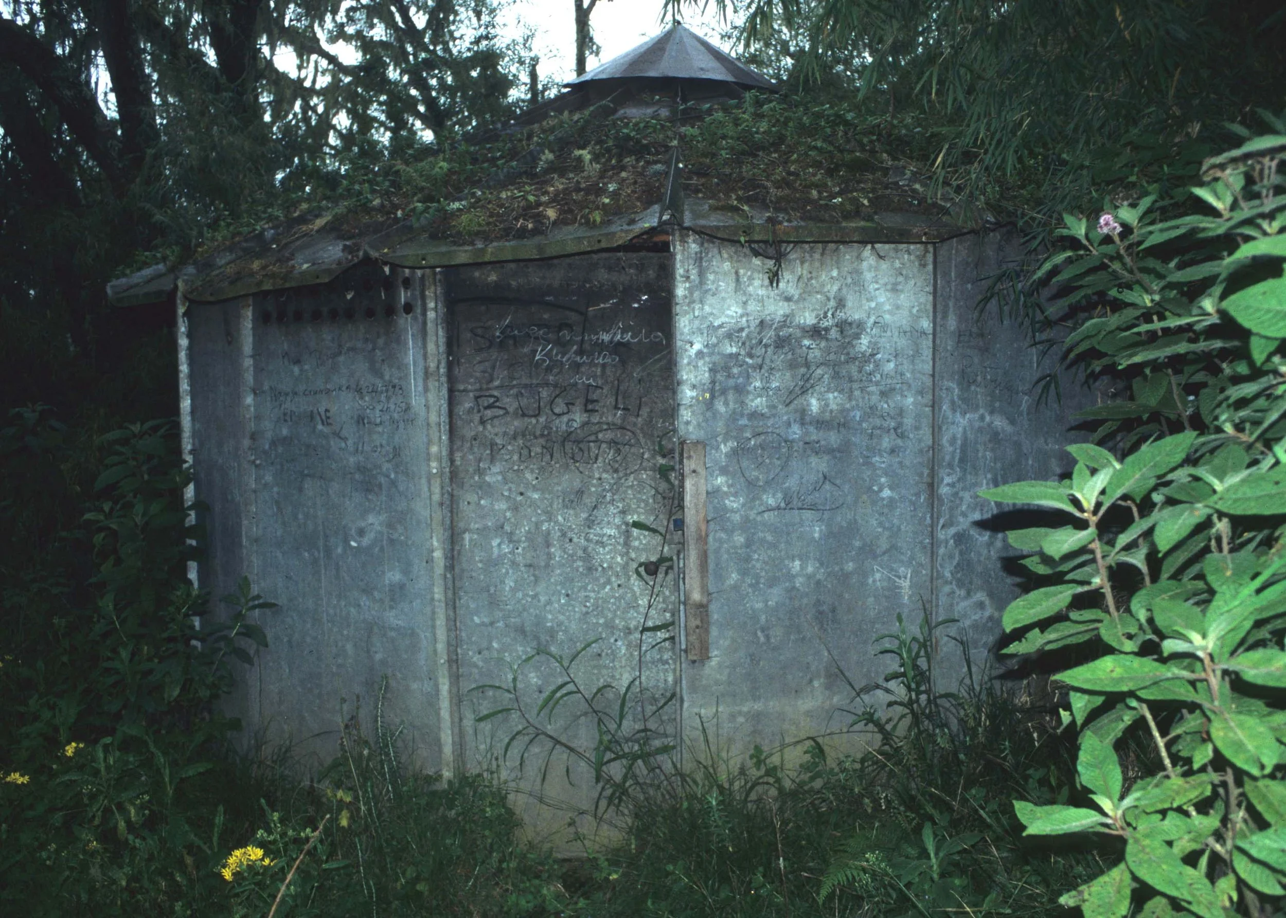 RWANDA - PARC DU VULCANS - FOSEY CAMP.jpg