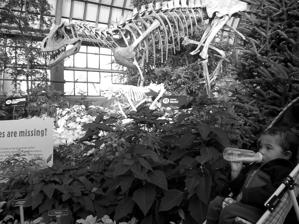 2003-12-25 CHRISTMAS IN CHICAGO.JPG