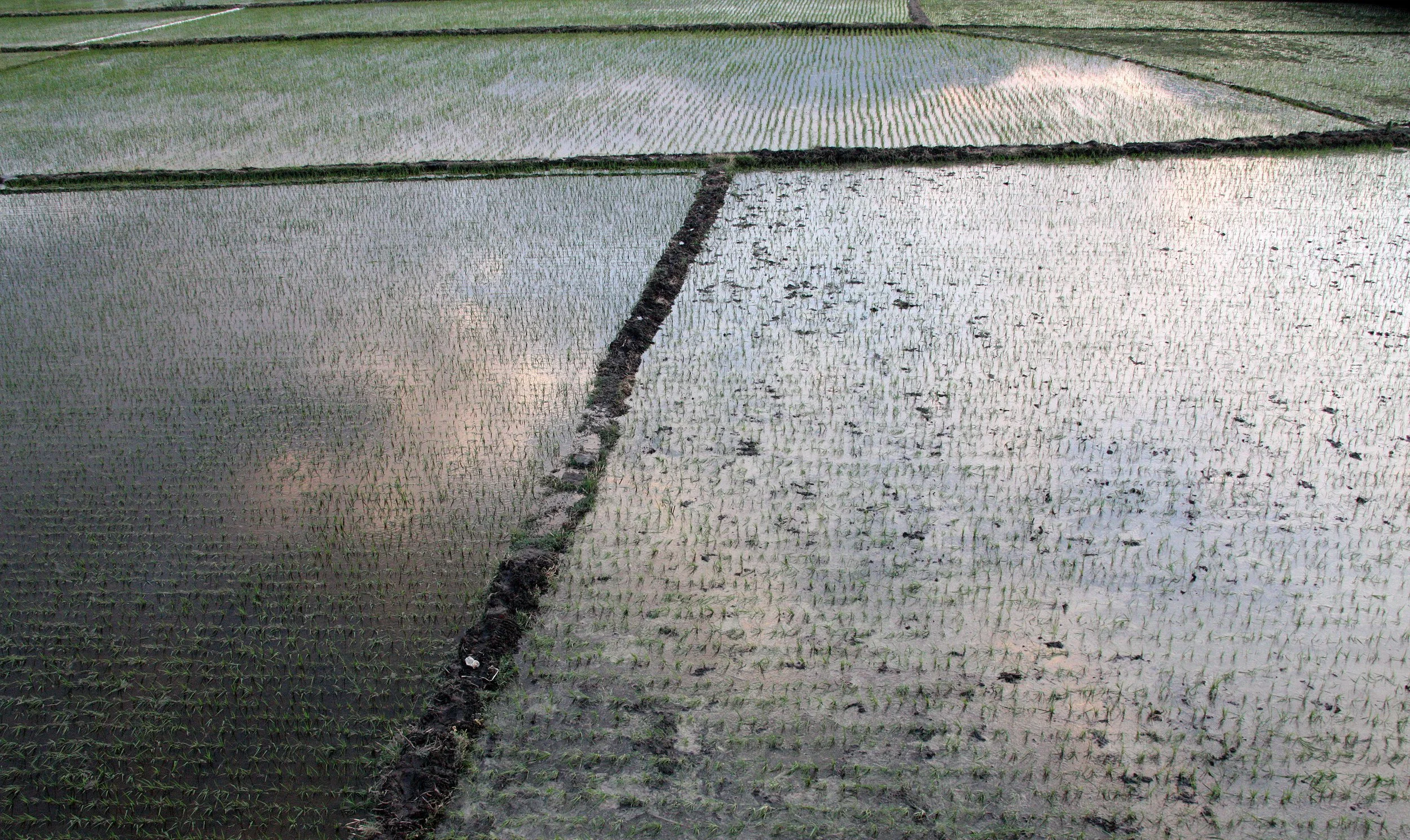 LINDEN CENTER - XIZHOU VILLAGE YUNNAN CHINA (48).JPG