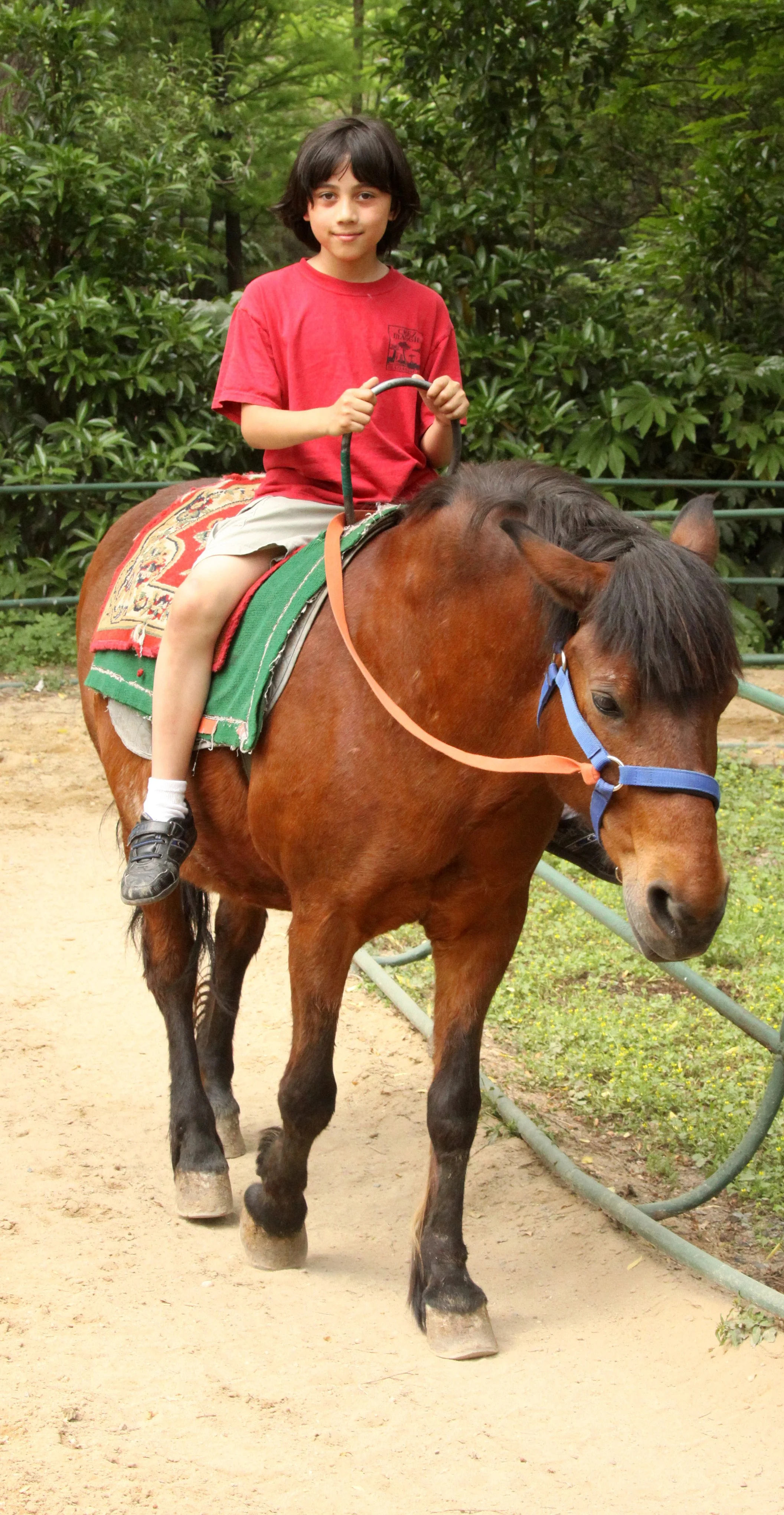 2011-5-6 SHANGHAI ZOO (8).JPG