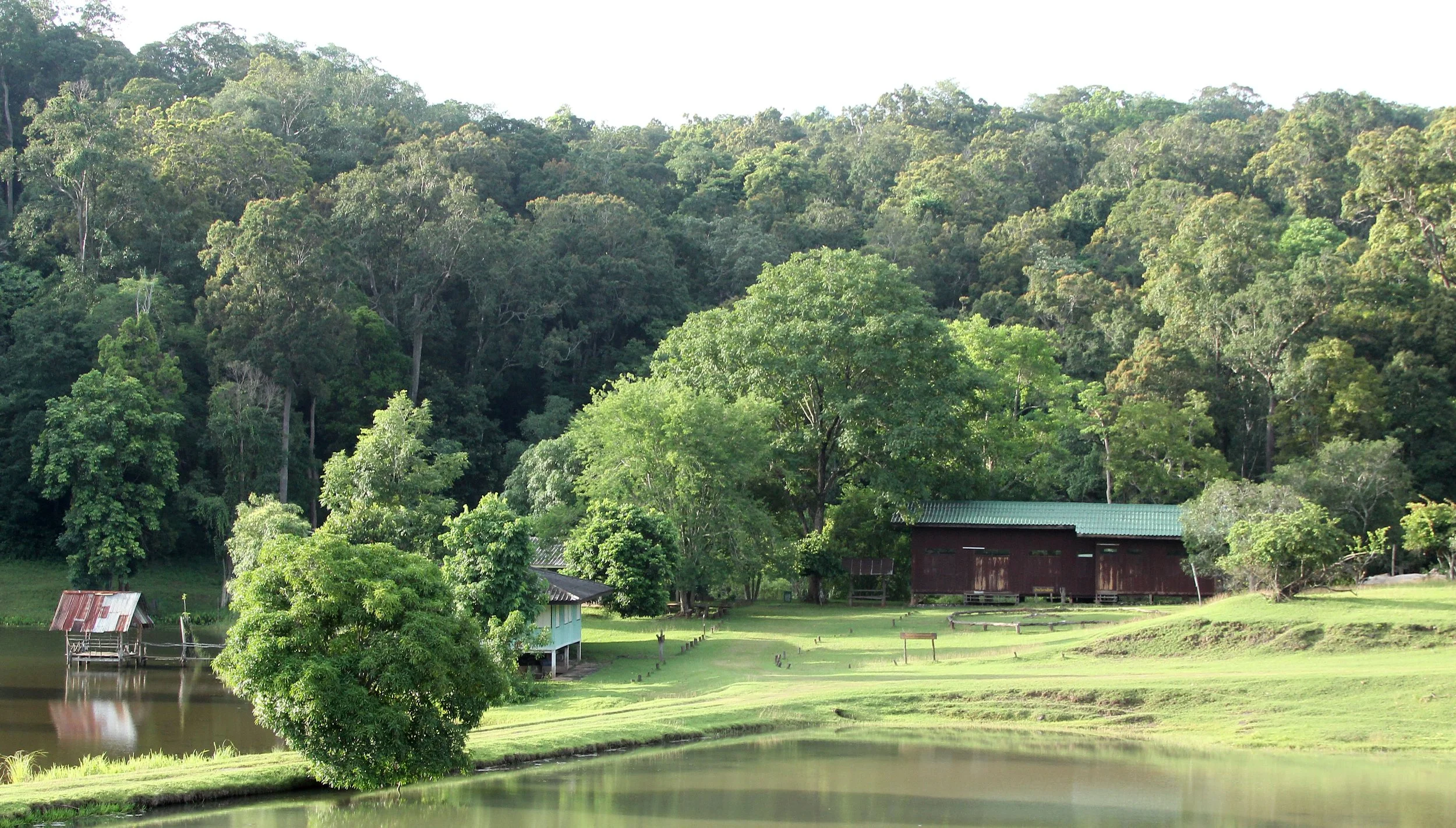 2017 Phu Khieo Wildlife Sanctuary  (28).JPG