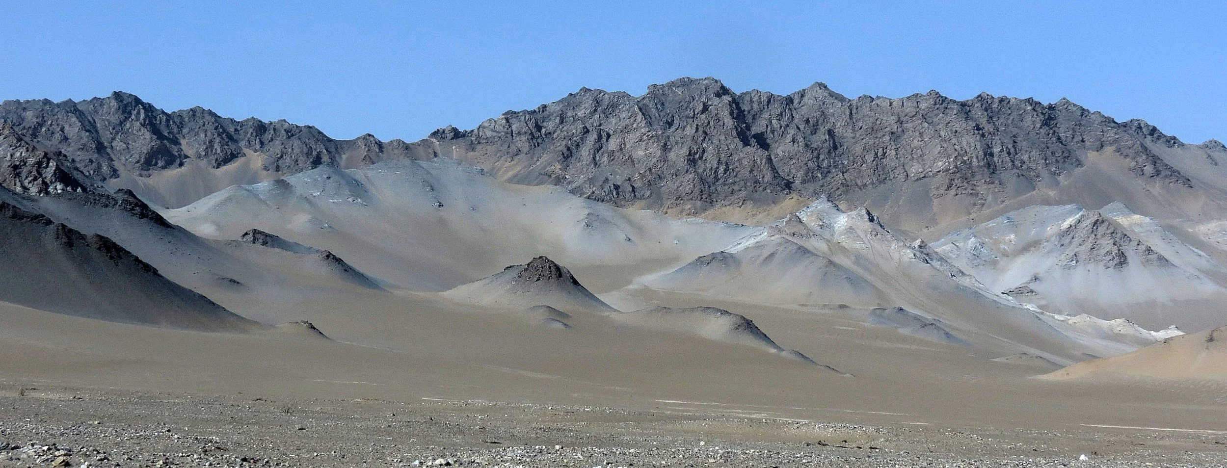 Scenes of Lop Nur Bactrian Camel Reserve