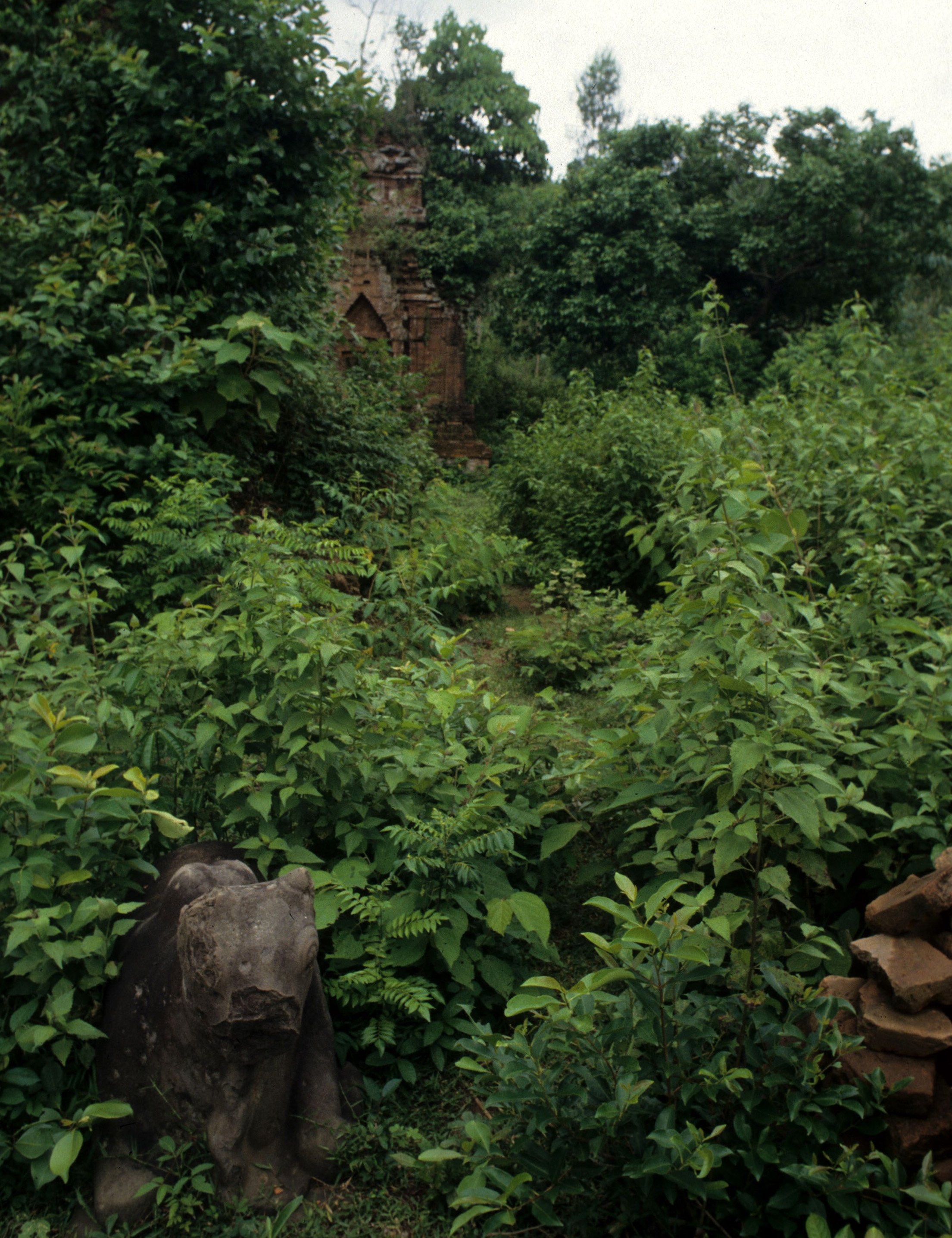 VIET NAM - MY SON CHAM RUINS B.jpg