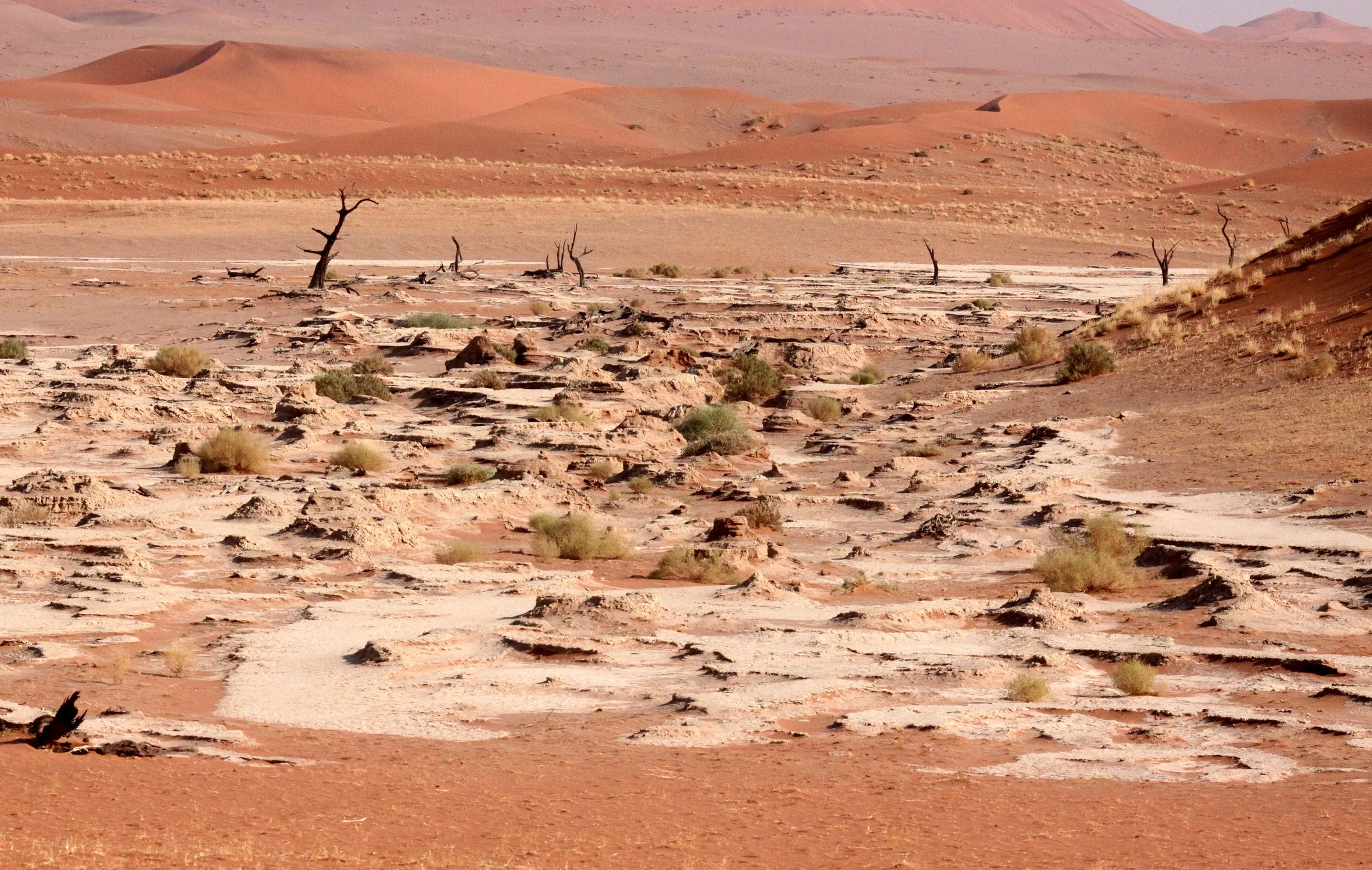 SOSSUSVLEI, NAMIB NAUKLUFT NATIONAL PARK, NAMIBIA - DEAD VLEI (81).JPG