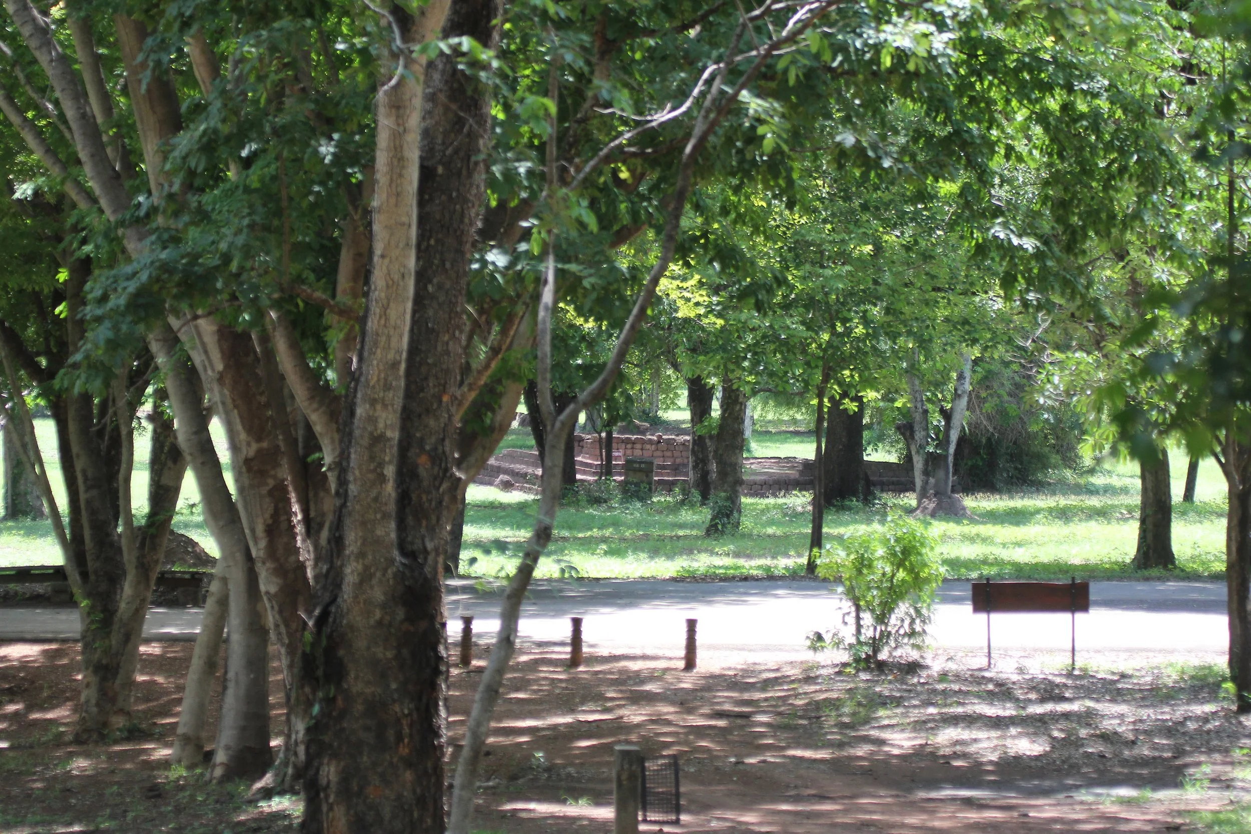 2020 27-28 June  Si Thep Historical Park North Thailand Trip (1 (46).JPG