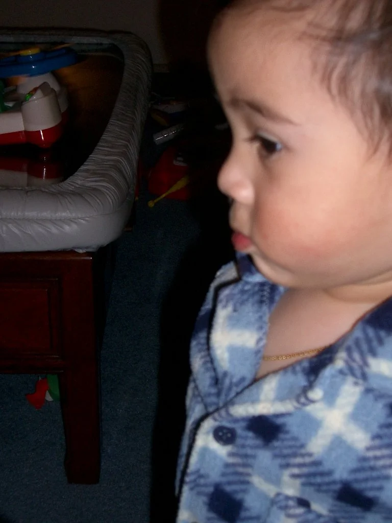 2003-11-16 COKIE PLAYING AT HOME (9).JPG