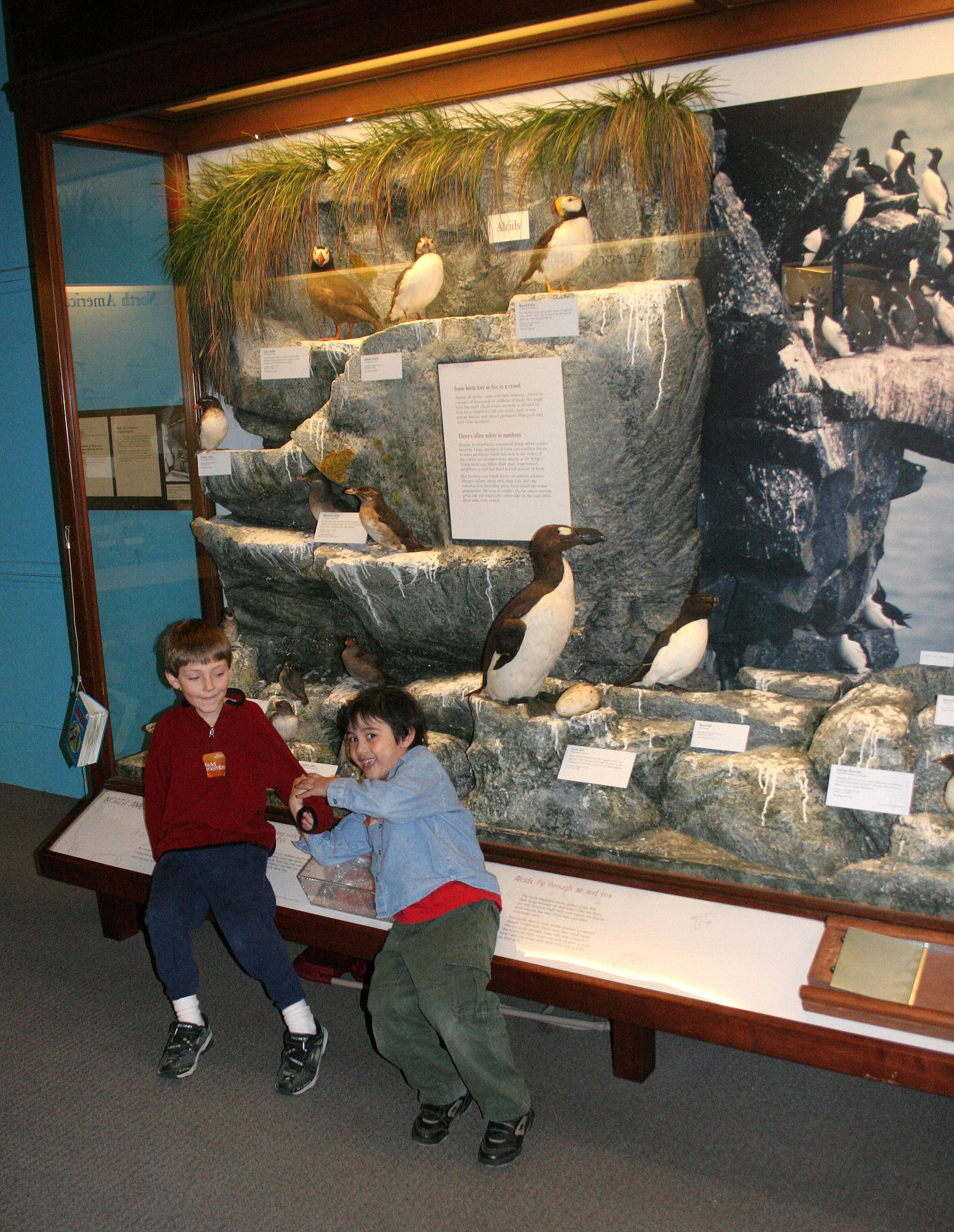 2008-3-28 CHICAGO SPRING BREAK TRIP (35).JPG