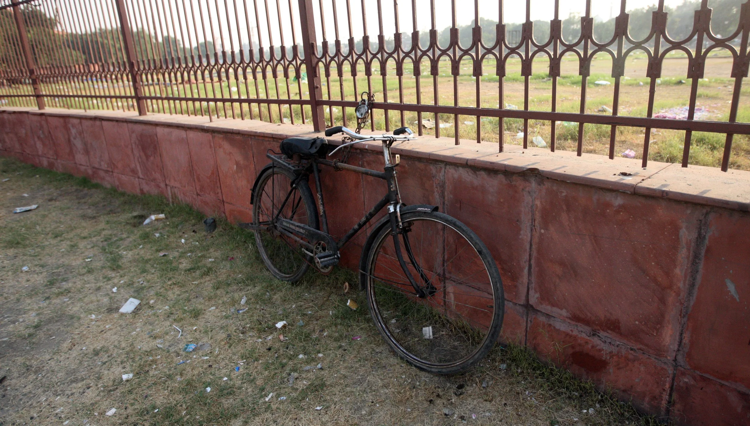 OLD DELHI INDIA - SNOW LEOPARD TRIP 2014 (54).JPG