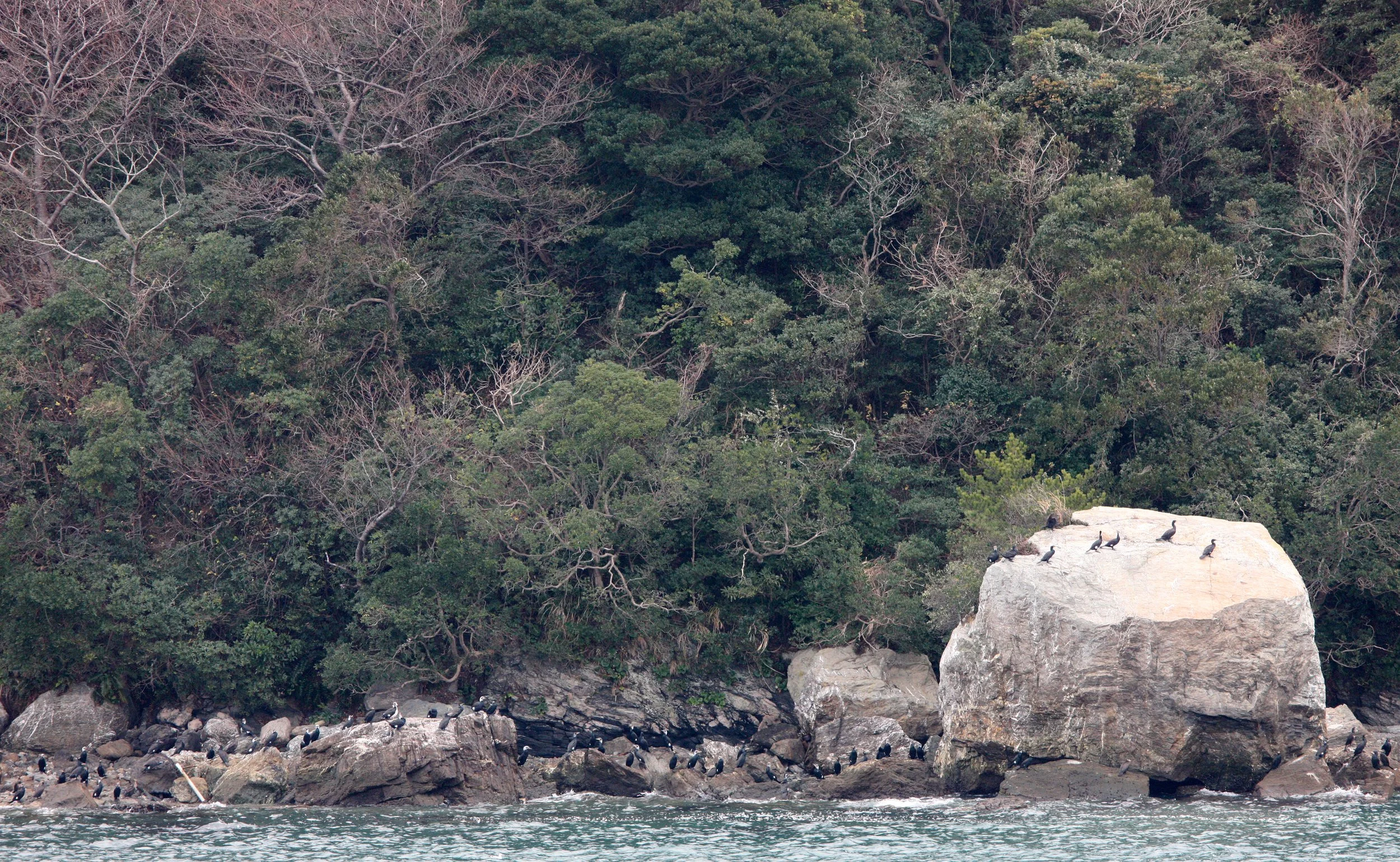 TOBA BAY AND SURROUNDING ISLANDS JAPAN.JPG