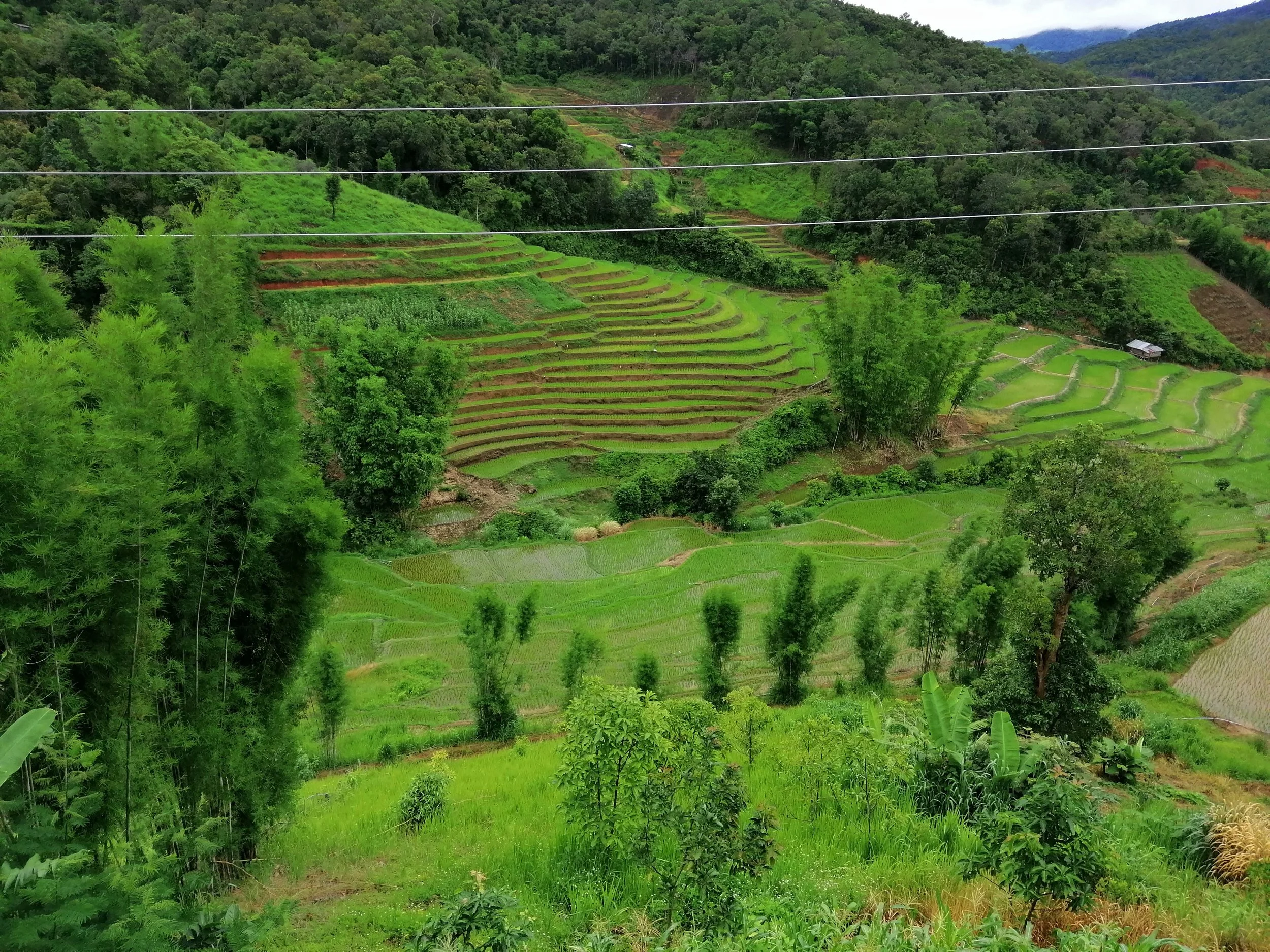 2020 Mae Hong Song to Chiang Mai Contryside Summer Trip to Northern Thailand (11).jpg