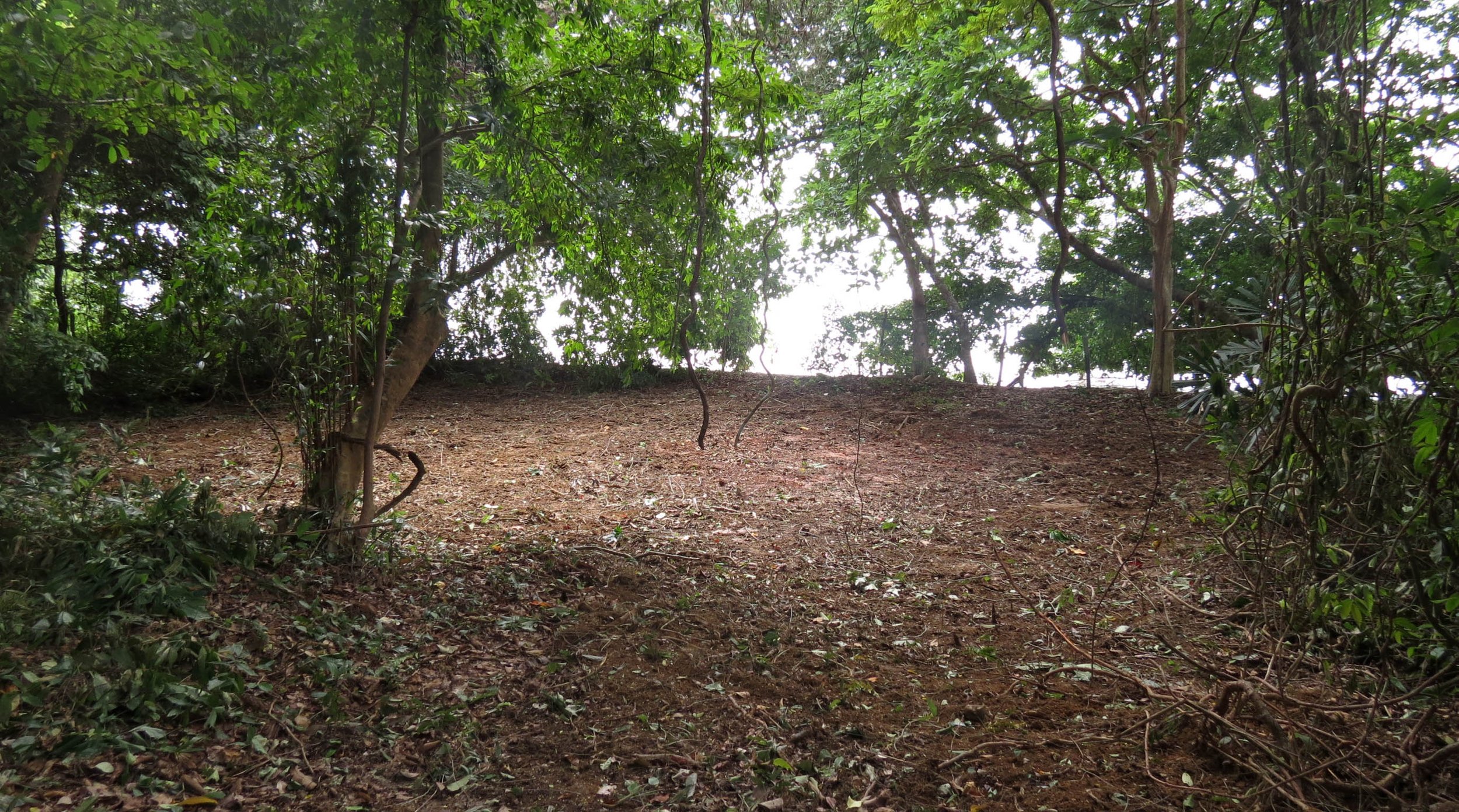 2014 Koh Lanta Build (11).JPG