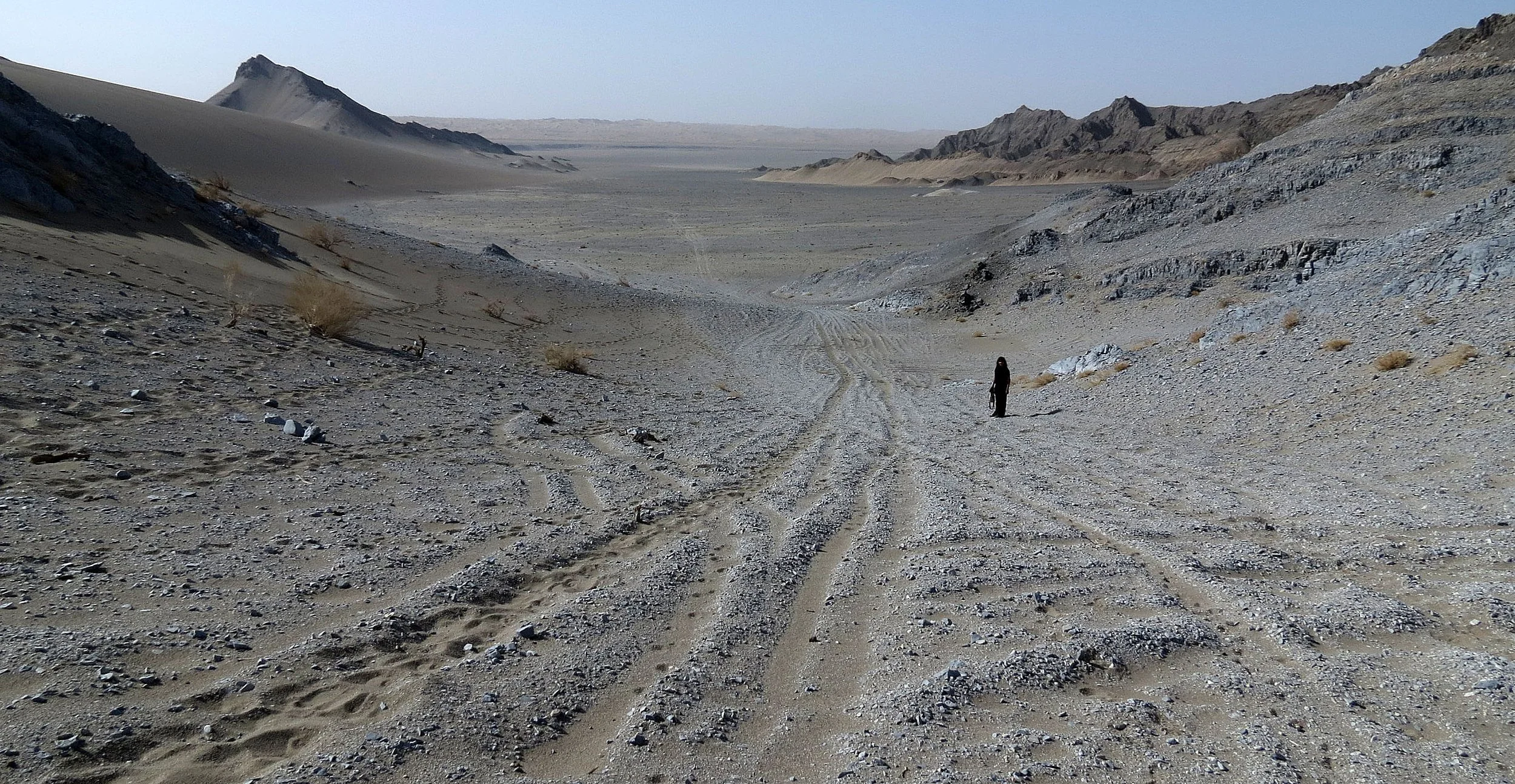 LOP NUR WILD BACTRIAN CAMEL RESERVE - XINJIANG CHINA (38).JPG