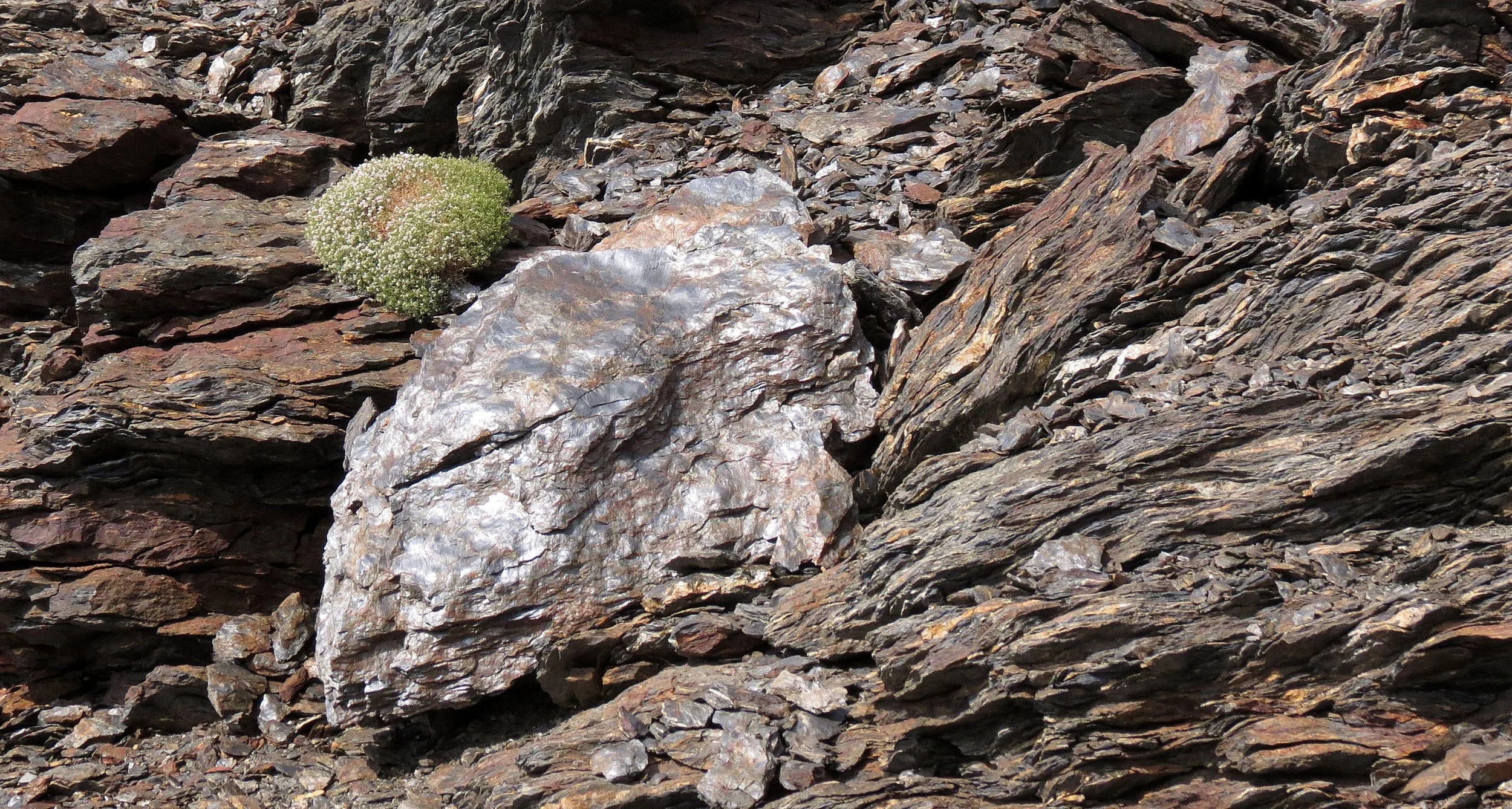 SIERRA NEVADA NATIONAL PARK SPAIN (71).JPG