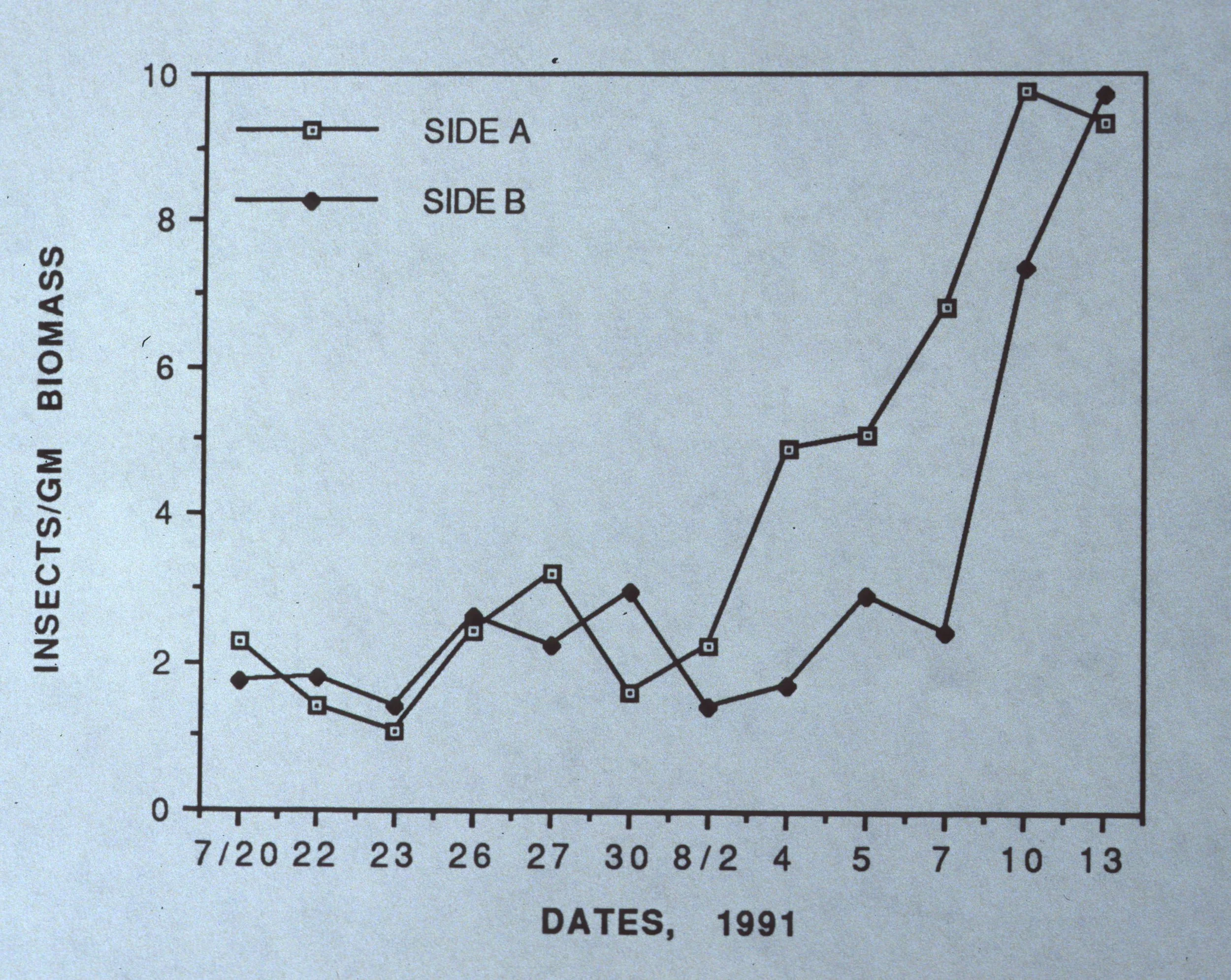 ARIZONA - MADERA CANYON - RESEARCH - RESULTS E.jpg