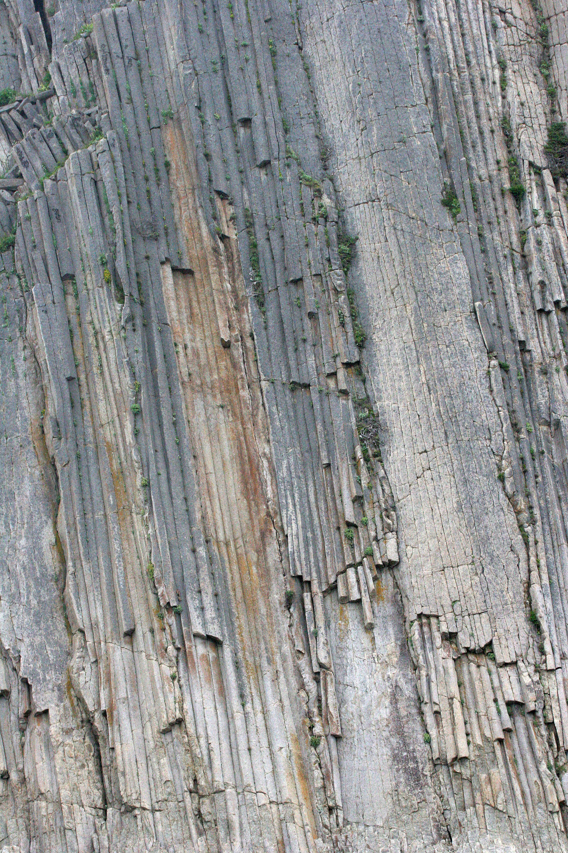 KURIL ISLANDS - FLORA  (56).jpg