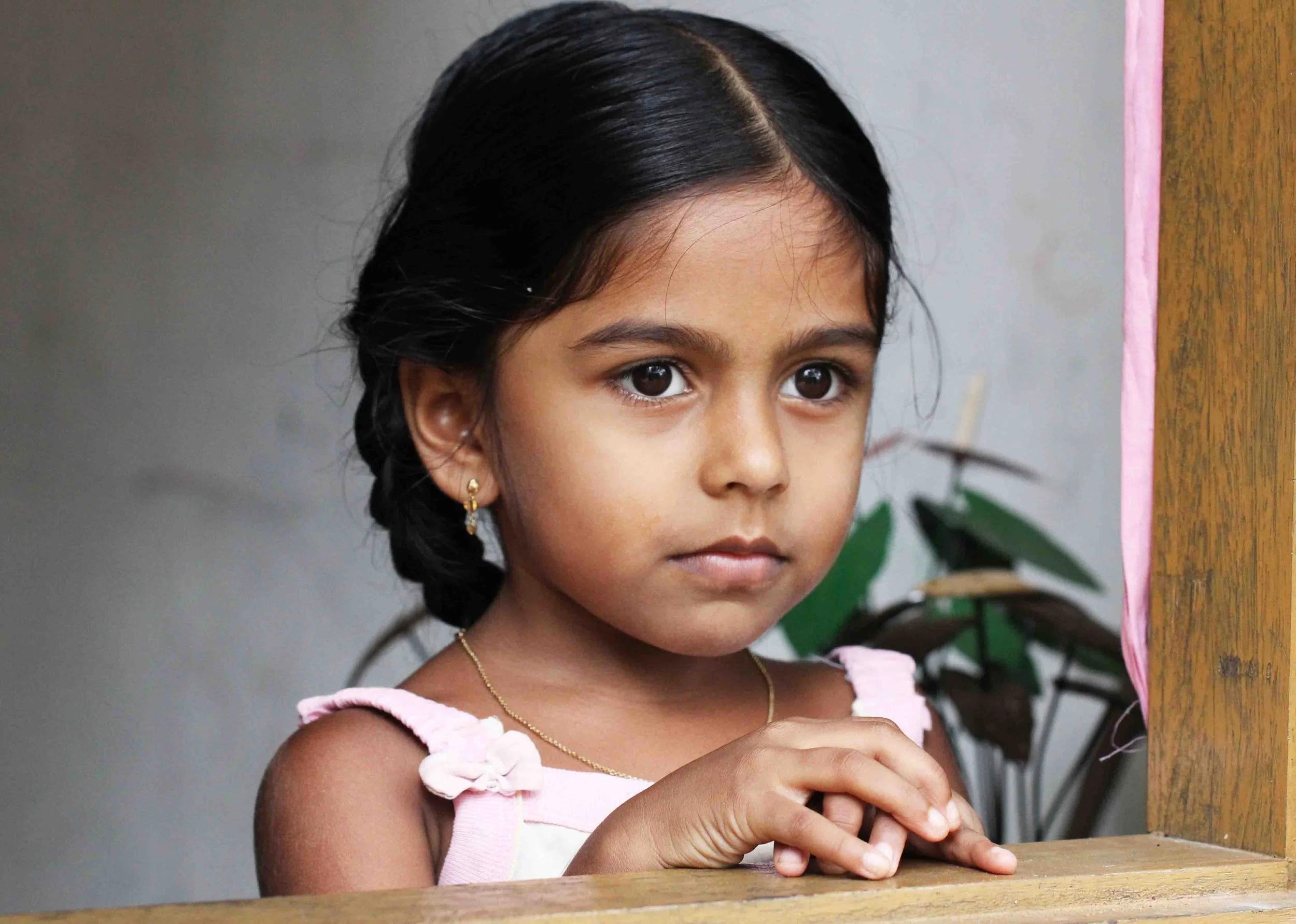 KITULGALA FOREST PRESERVE, SRI LANKA (73).JPG