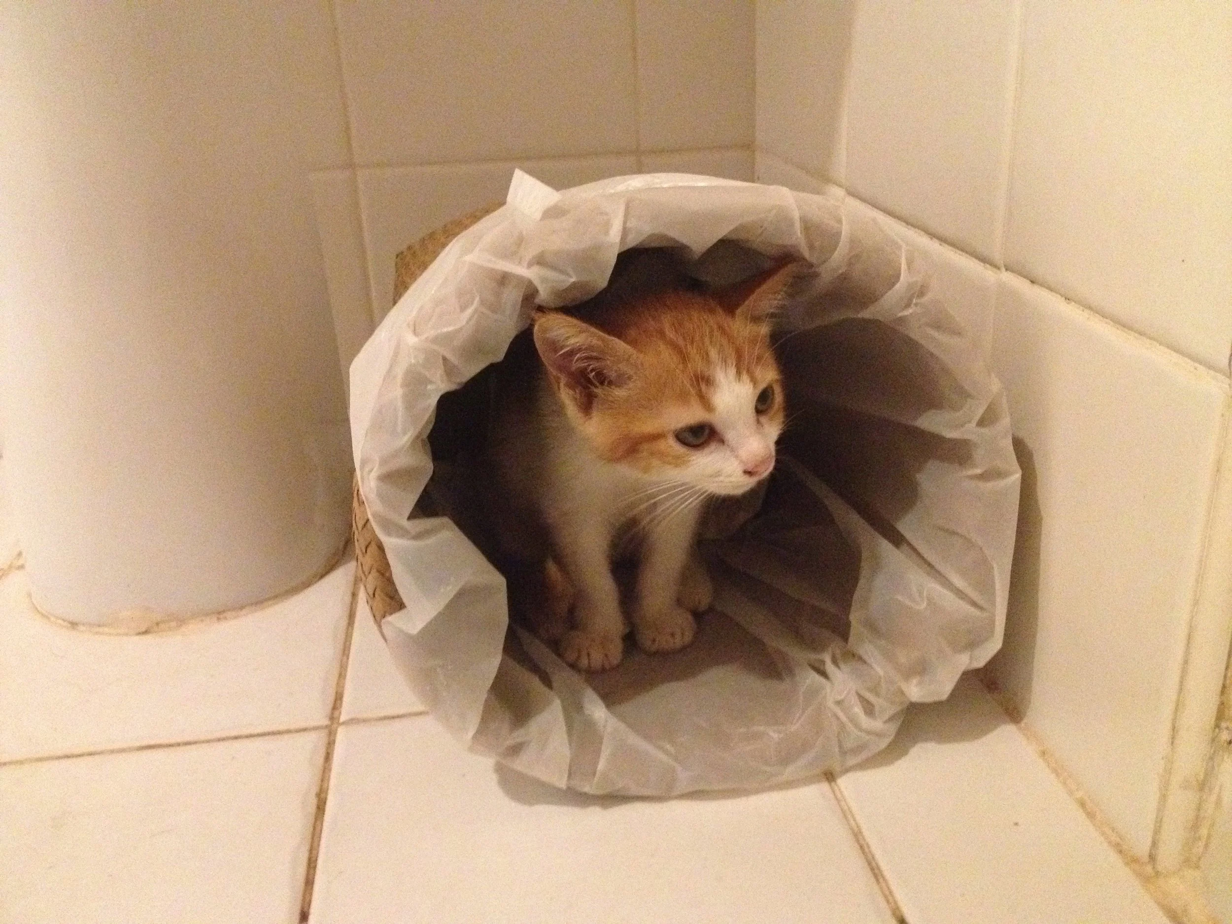 2015 Lanta Road Trip - fun with Jean Luc and other stuff! (193).jpg