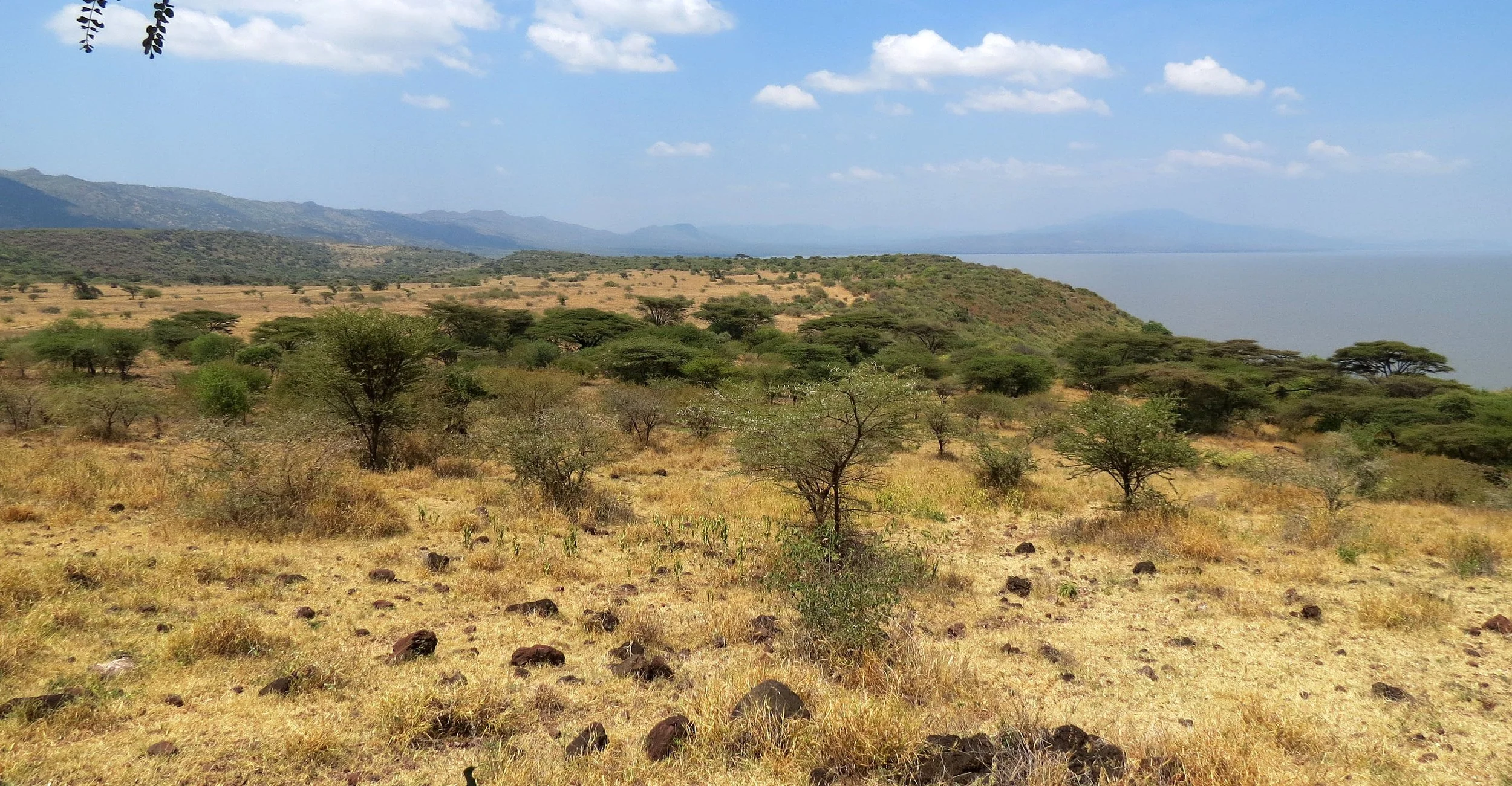 NECH SAR NATIONAL PARK ETHIOPIA (10).JPG