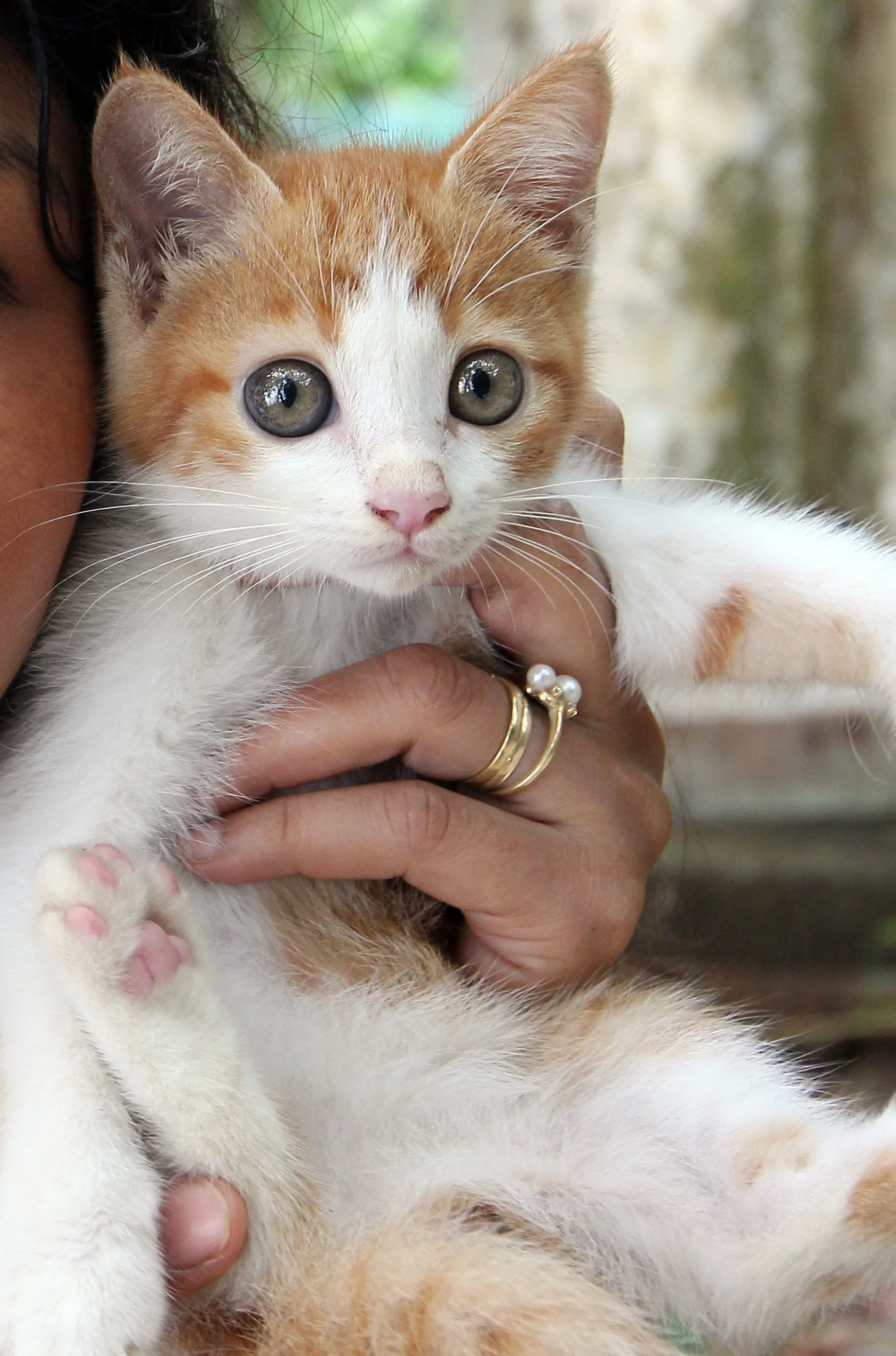 2015 Koh Lanta Summer Misc Images (673).JPG