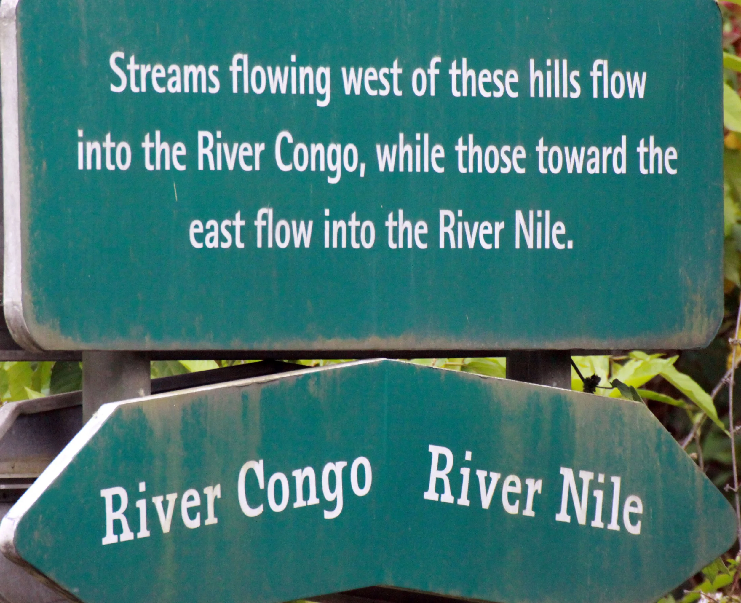 NYUNGWE NATIONAL PARK RWANDA (540).JPG