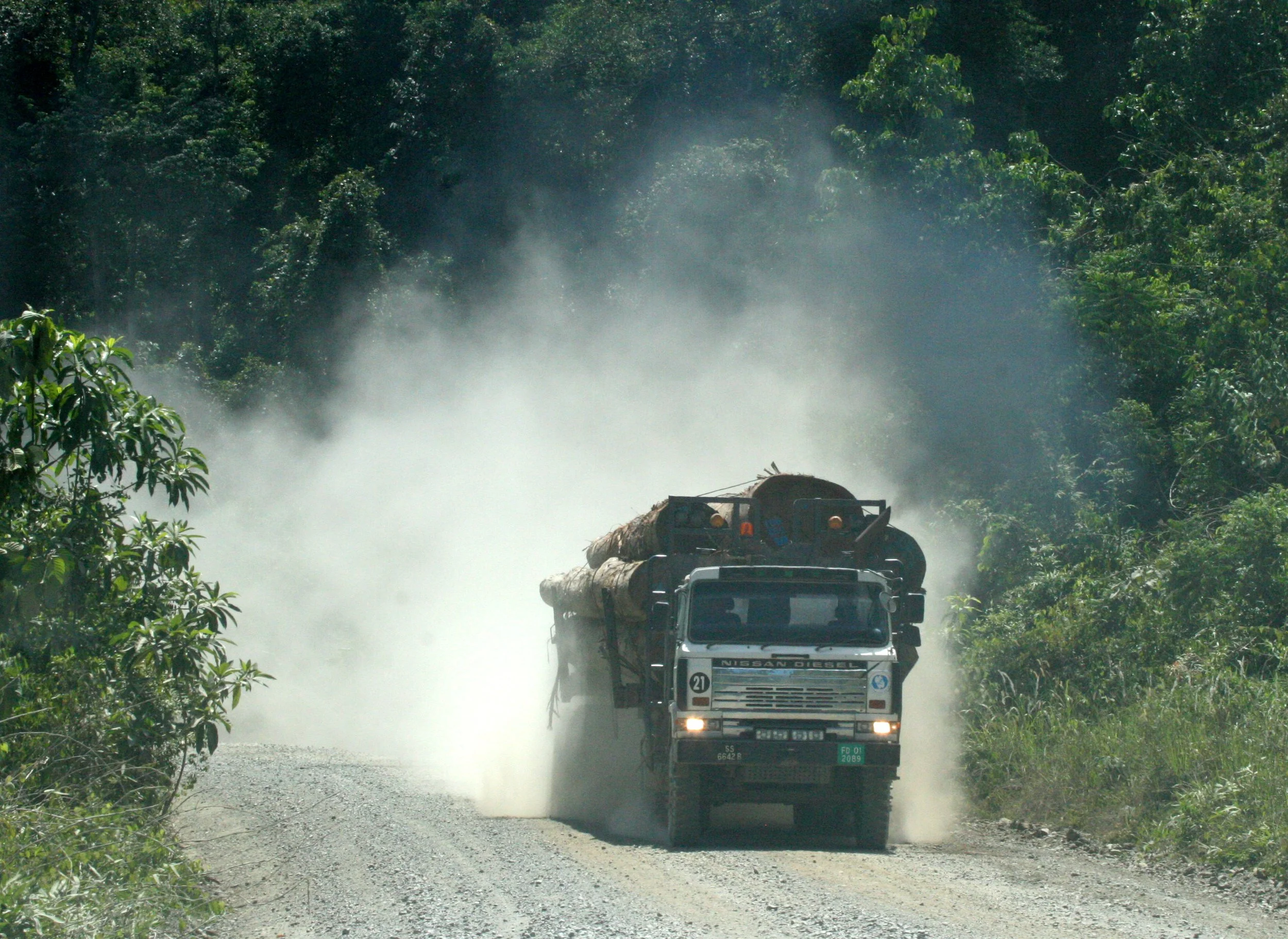 DANUM VALLEY BORNEO - LOGGING ROAD TO INTERIOR (4).JPG