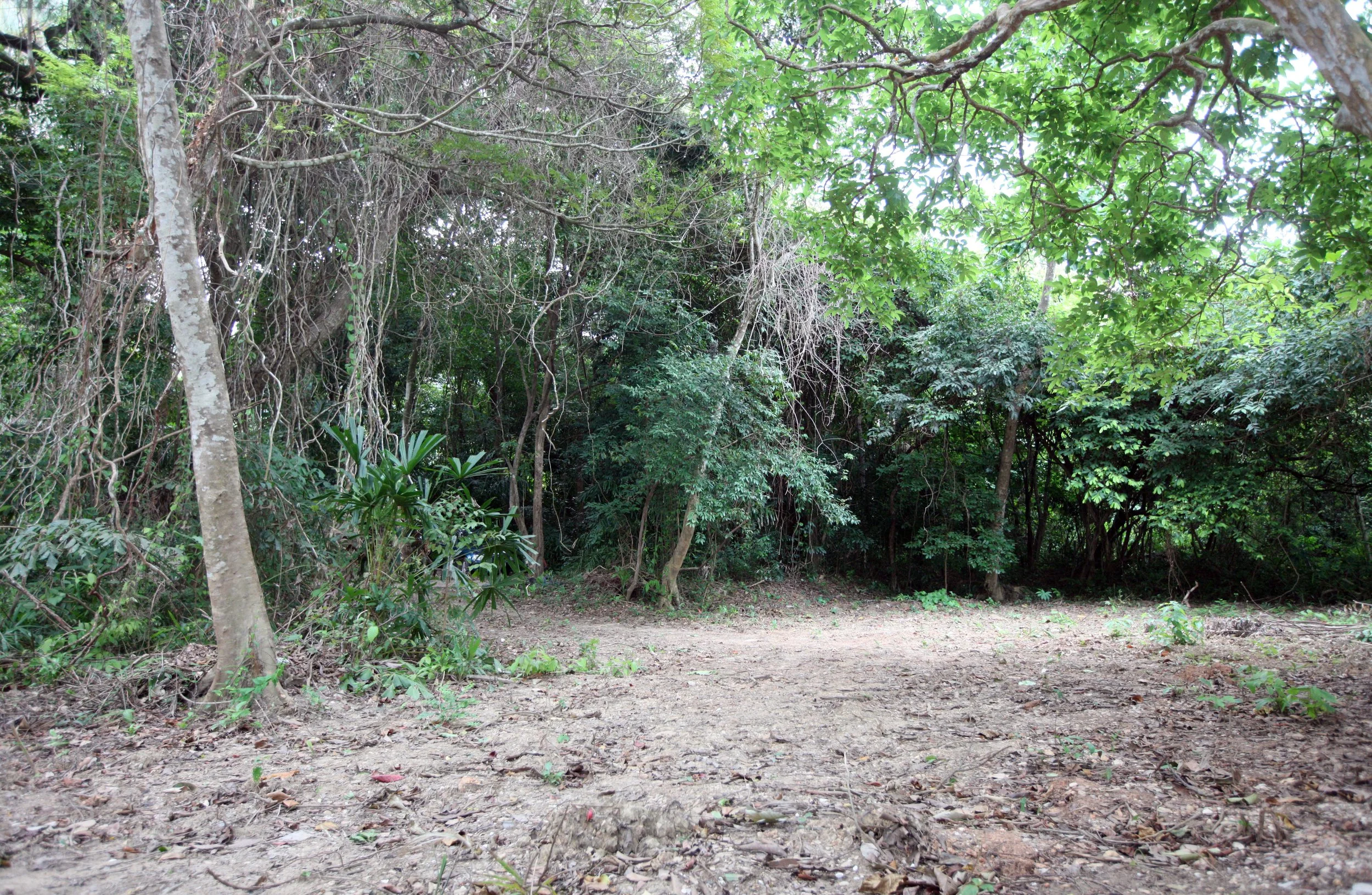 2014 Lanta Summer Fun (85).JPG