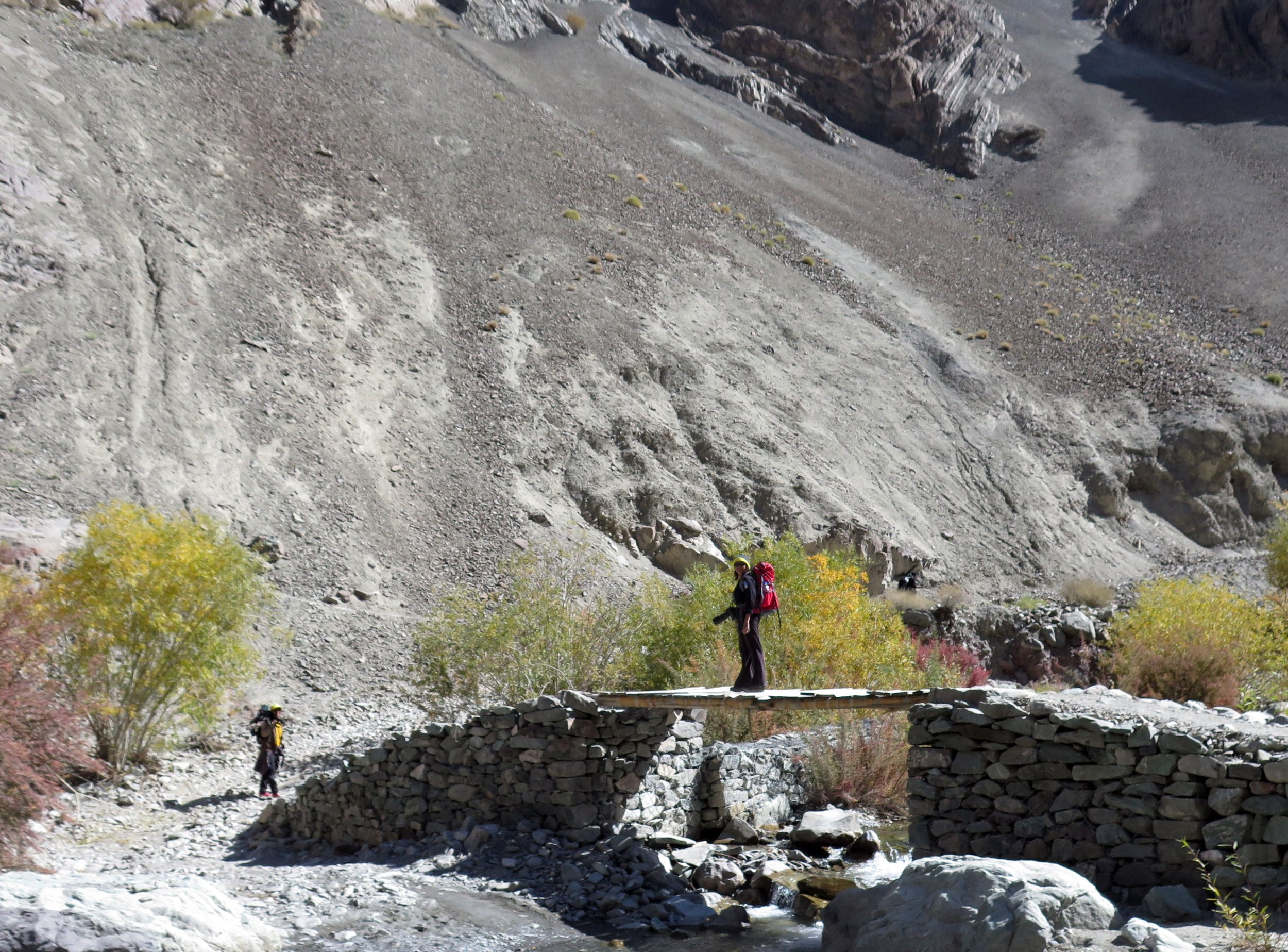 HEMIS NATIONAL PARK - LADAKH INDIA - JAMMU & KASHMIR NEAR RUMBAK VILLAGE (517).JPG