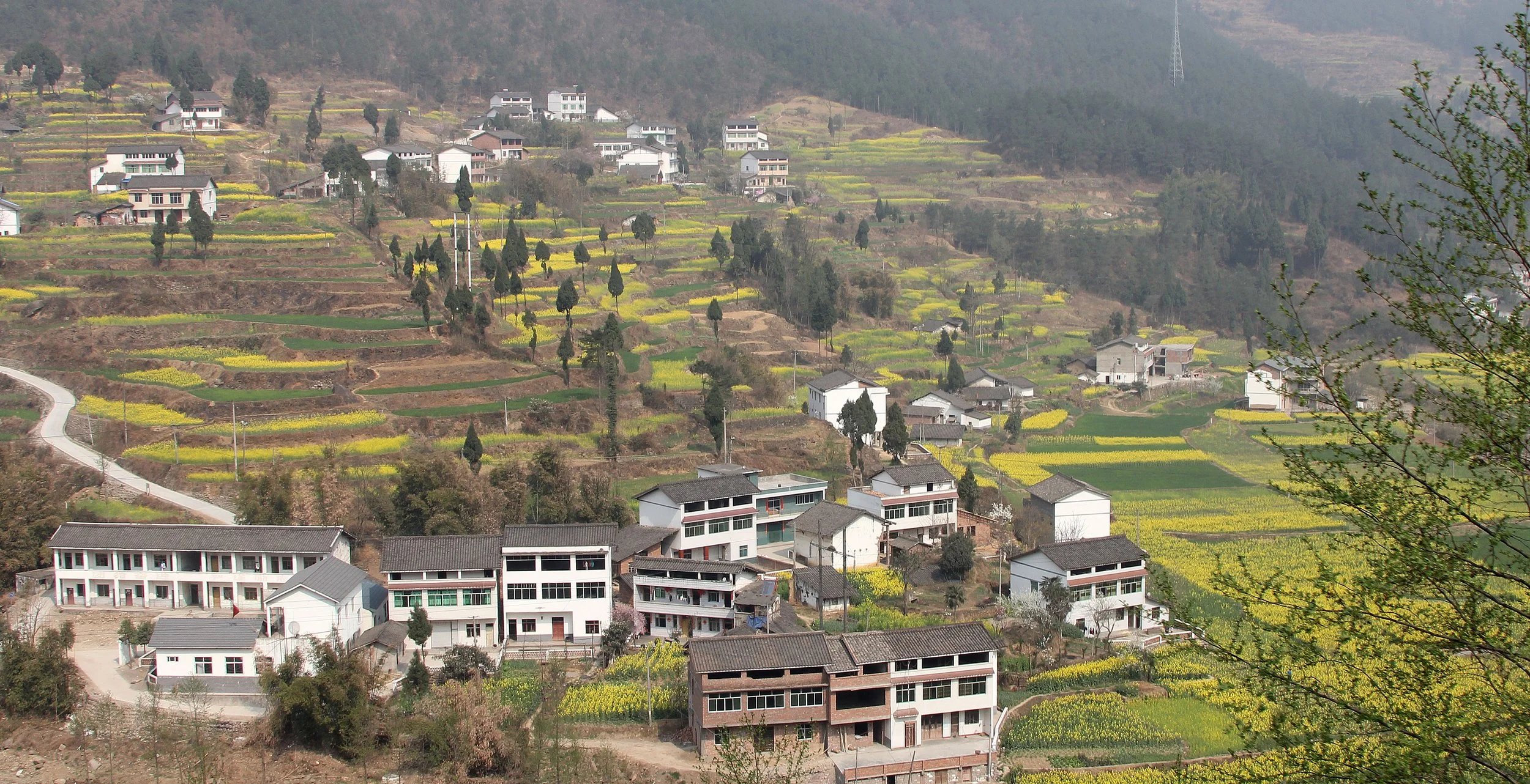 QINGCHUAN AND SURROUNDING AREA - SICHUAN CHINA (12).JPG