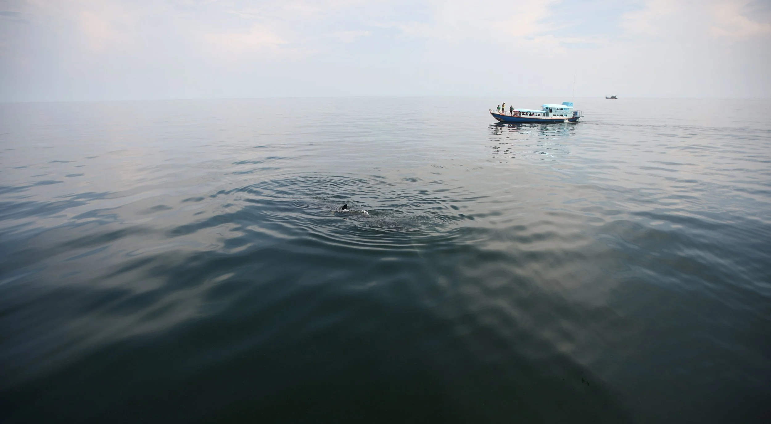 2014 Amphawa Trip to See Whales from Baan Taboon (56).JPG