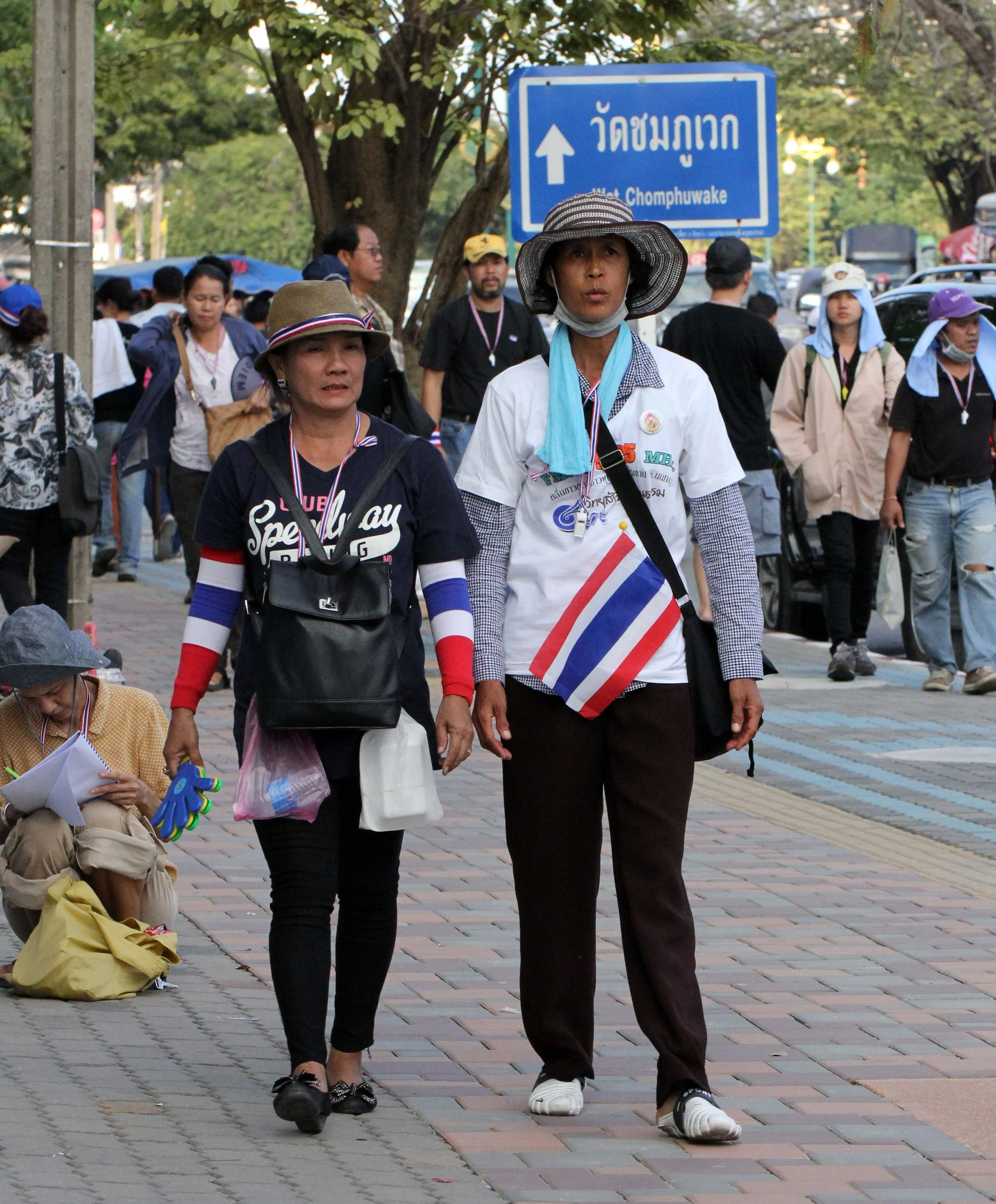 2014 Bangkok SHUTDOWN BANGKOK 2014 (89).JPG