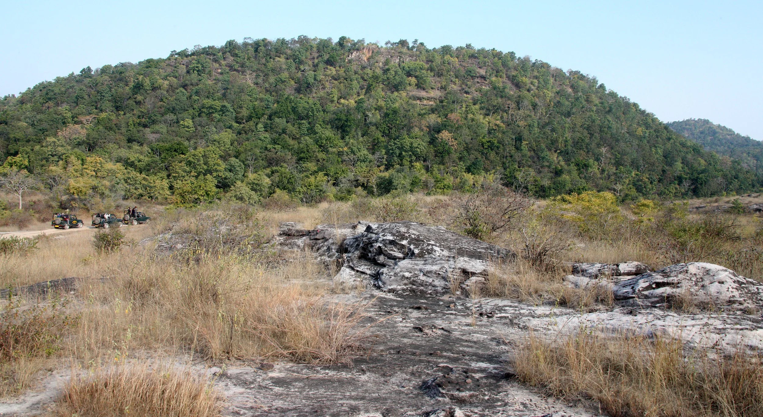 MADHYA PRADESH - BANDHAVGAR NATIONAL PARK MADHYA PRADESH INDIA (6).JPG
